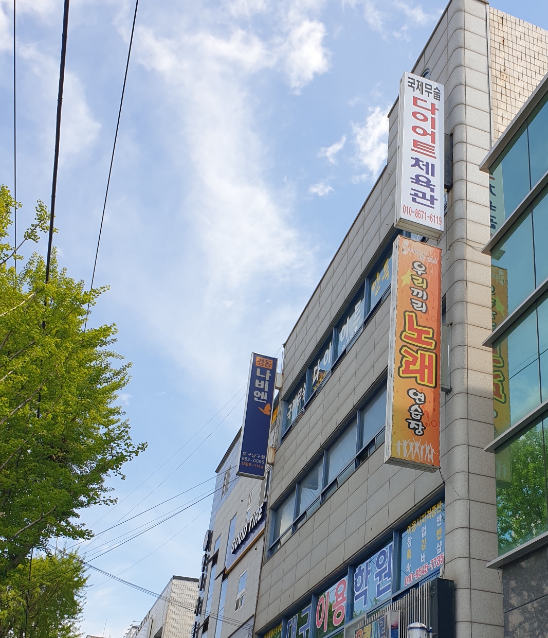 국제무술다이어트체육관 대표 이미지