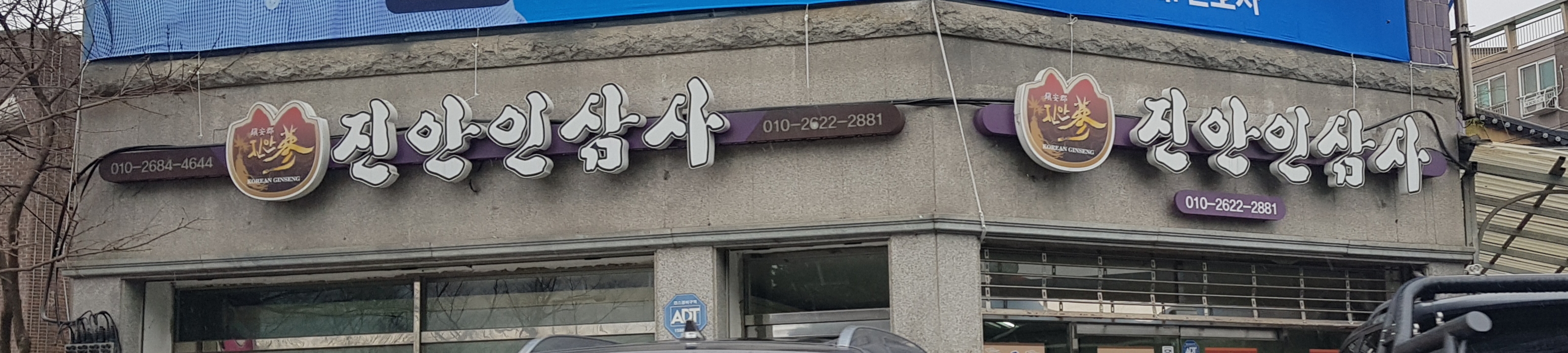 진안인삼사