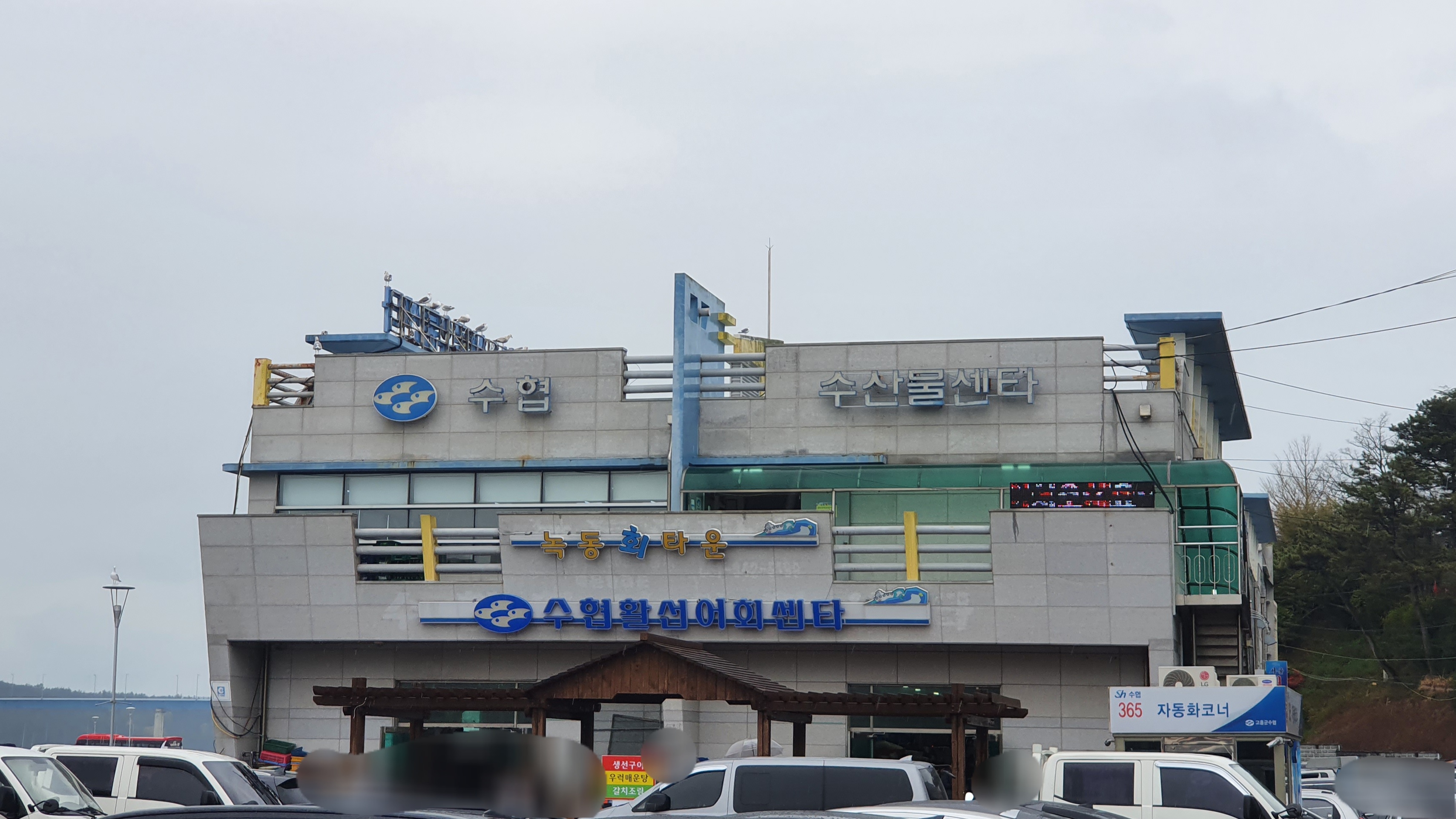 수협수산물센터
