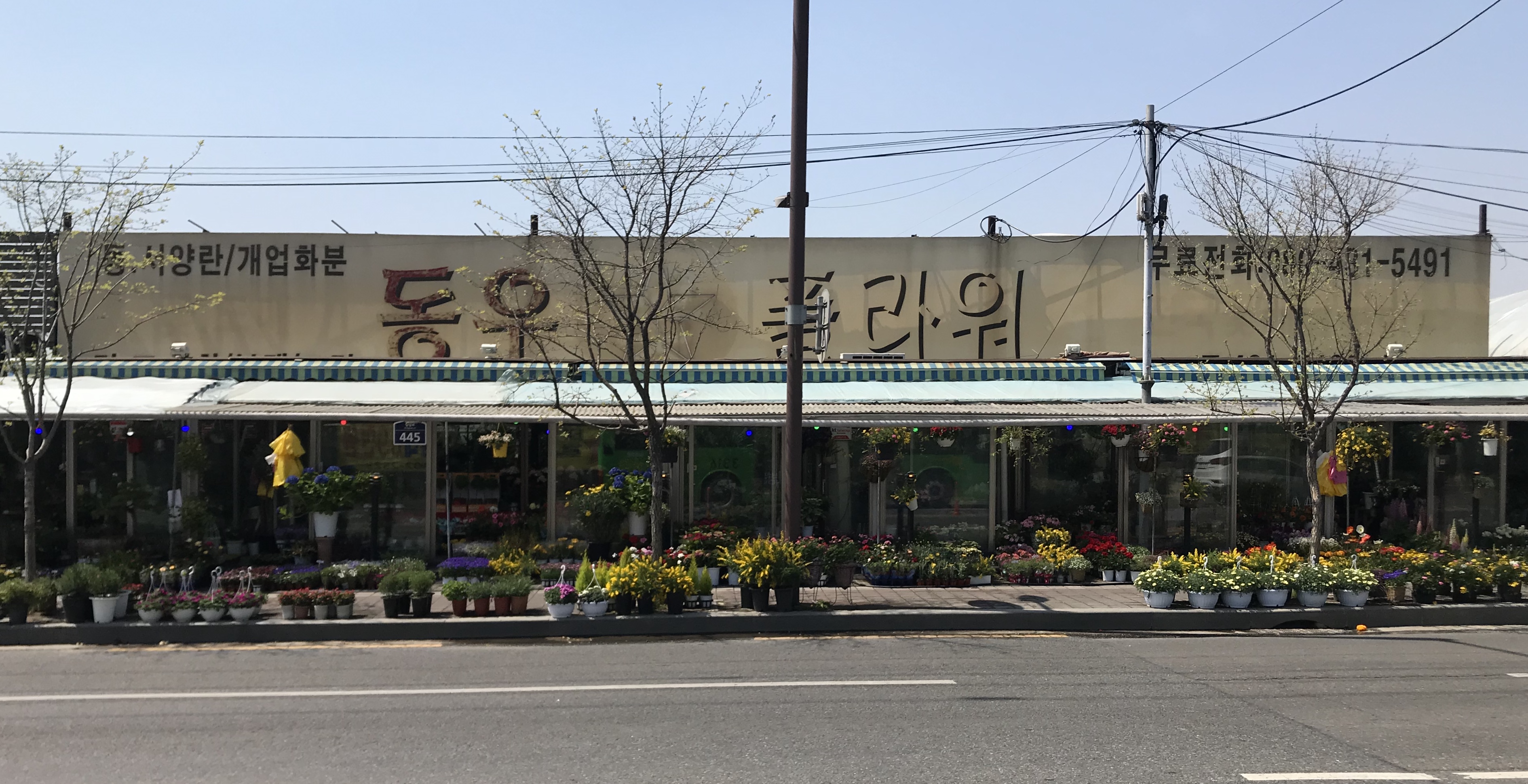 동우플라워스토리