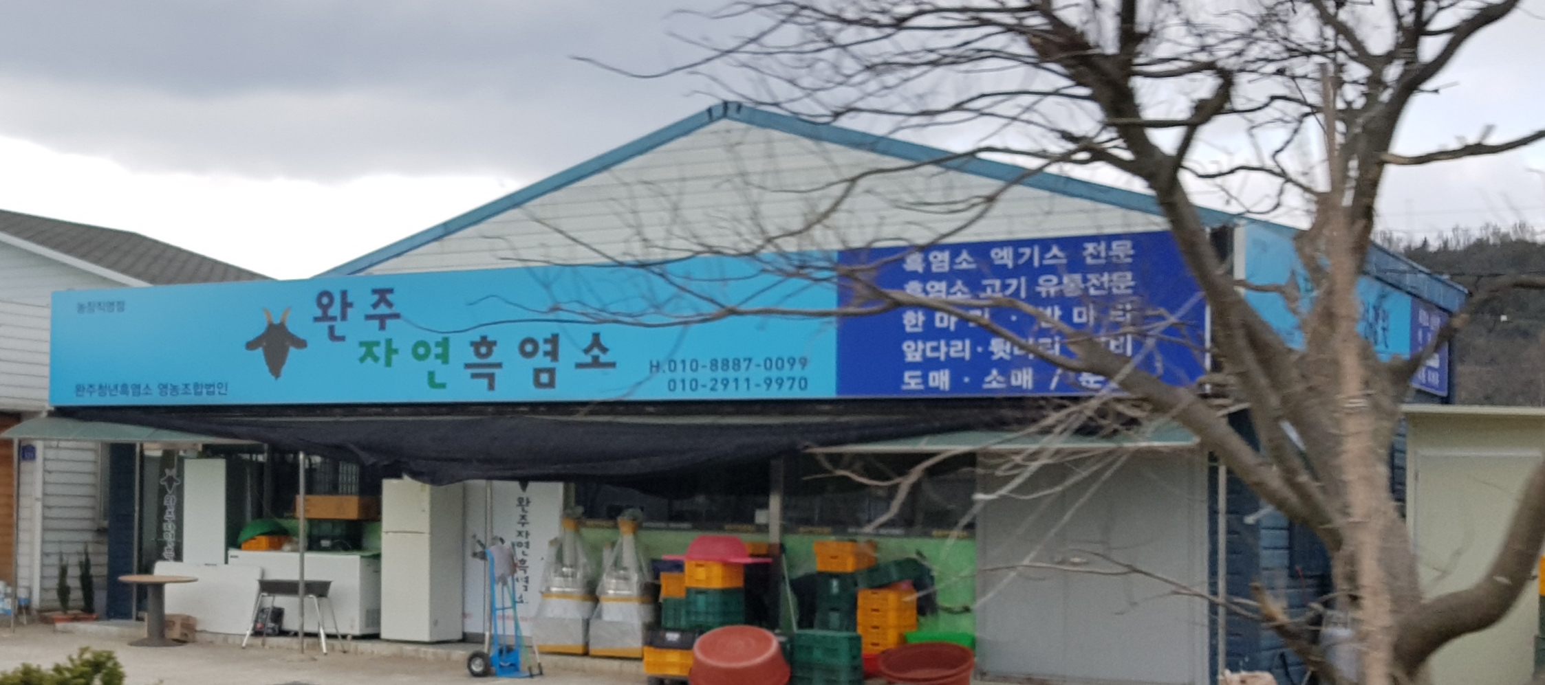 완주자연흑염소