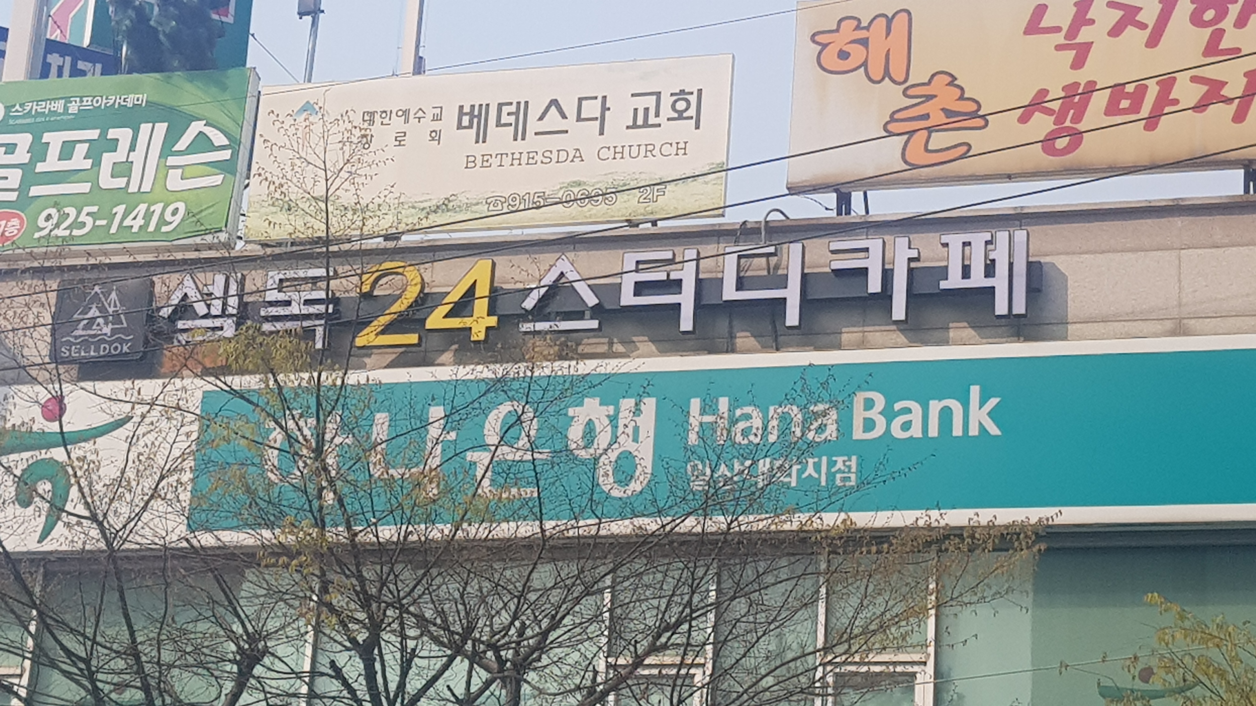 셀독24스터디카페 일산대화점
