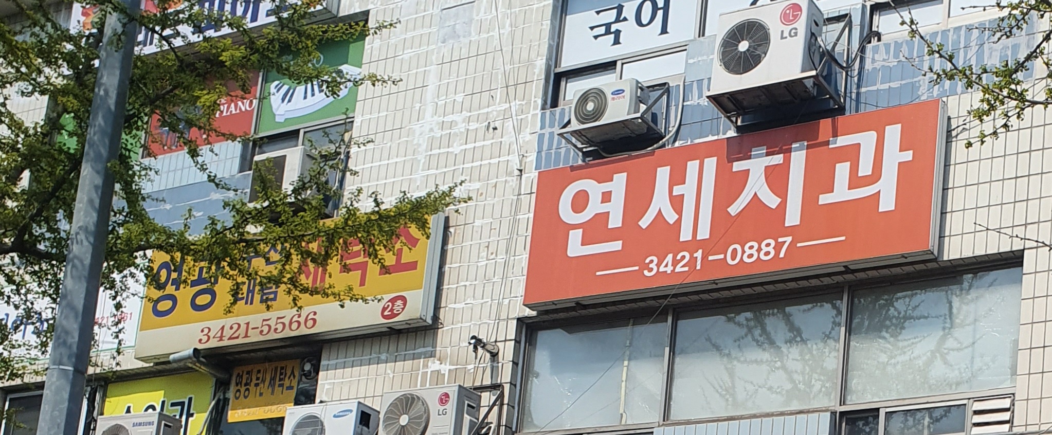 신연세치과의원