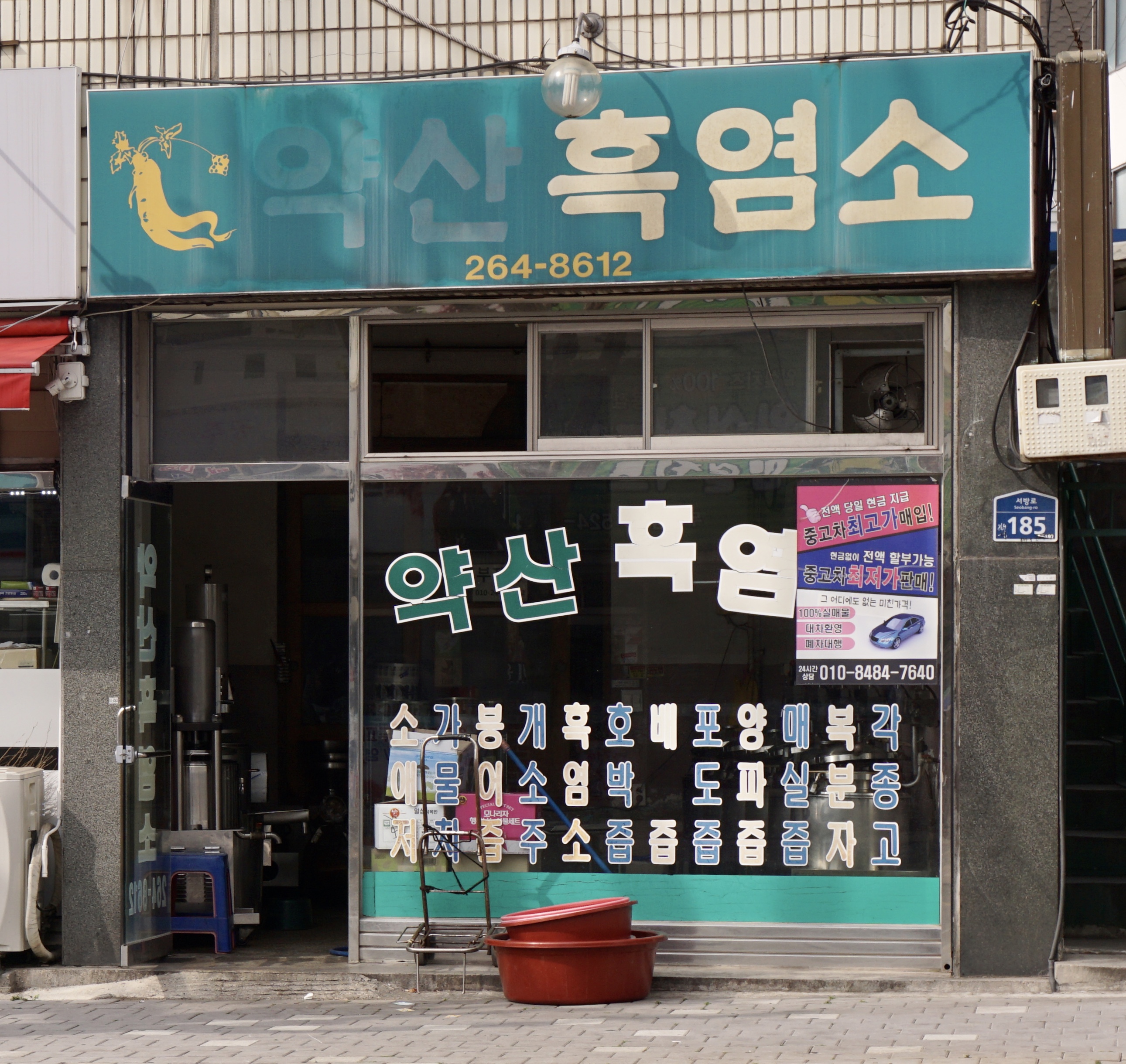 약산흑염소