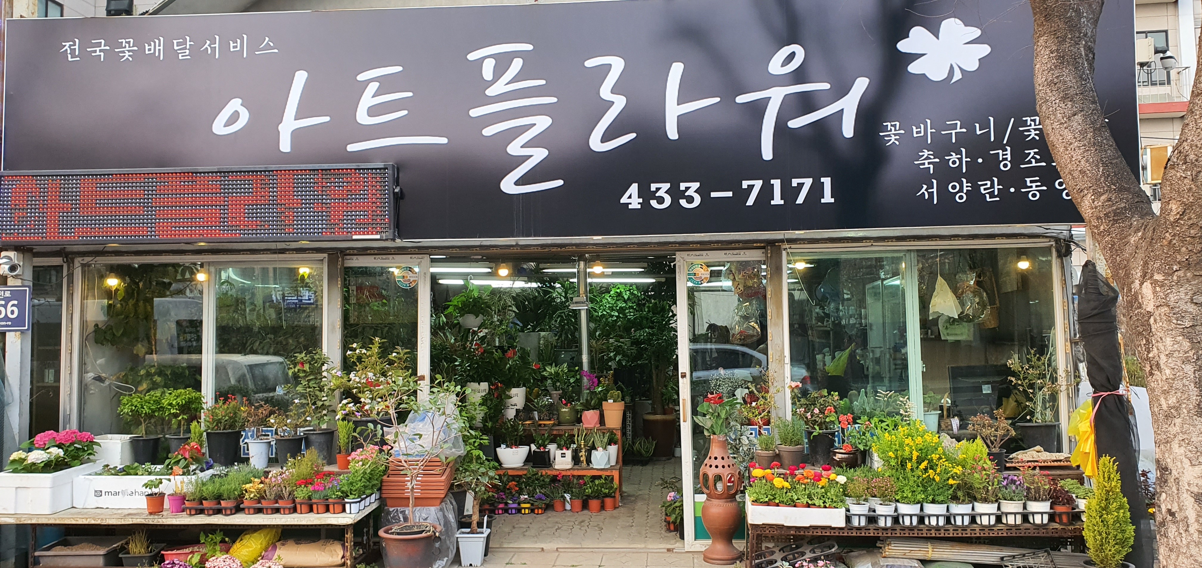 아트플라워