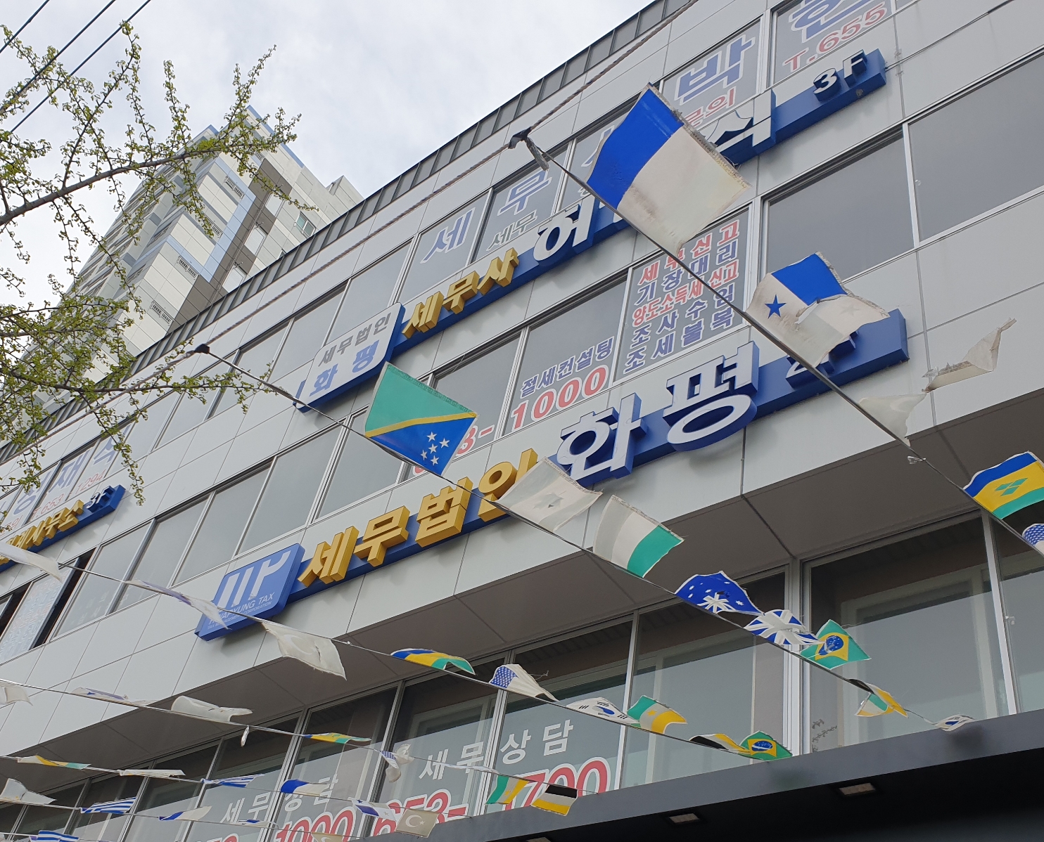 세무법인화평 대구지사