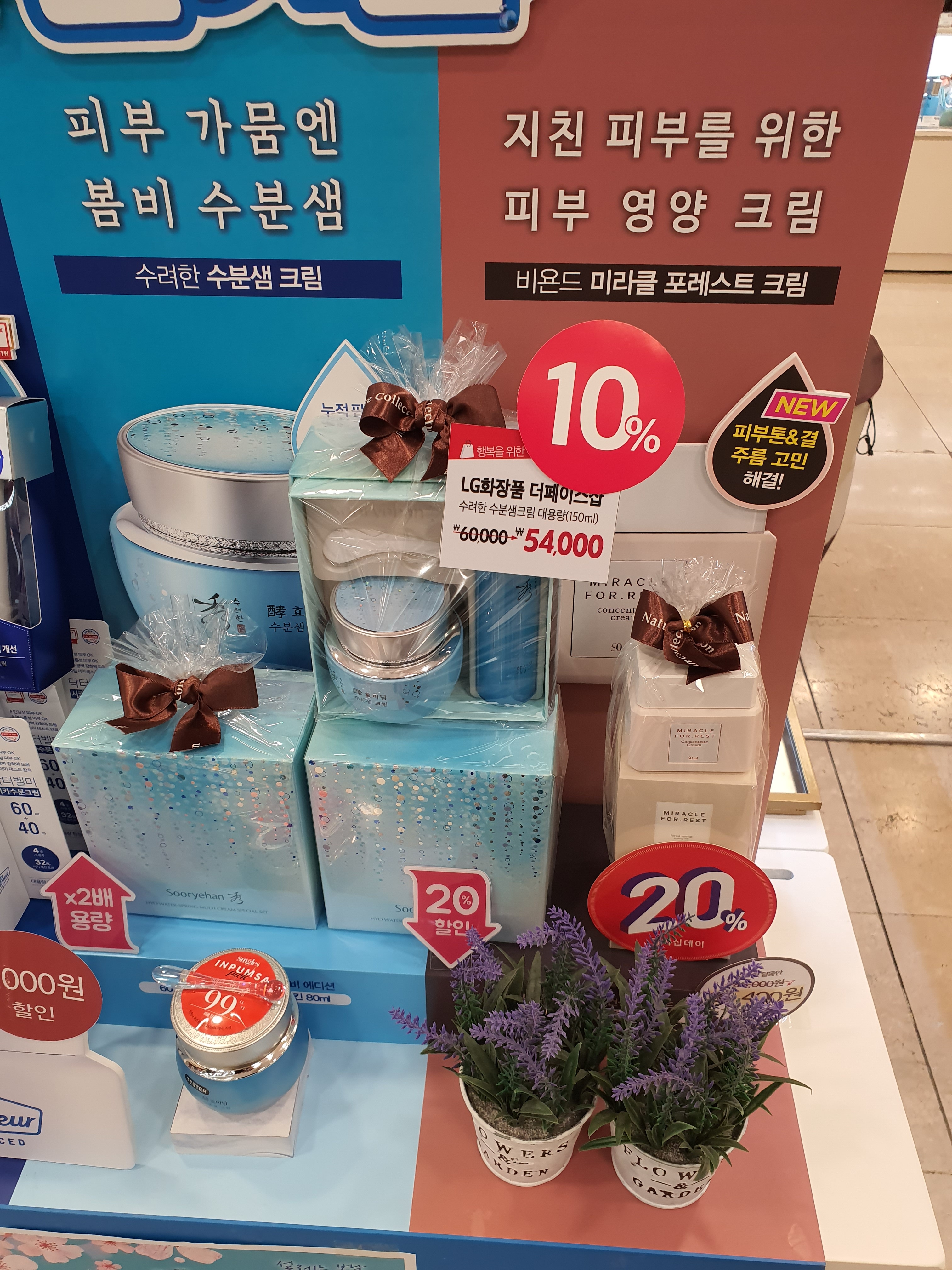 네이처컬렉션 울산세이브존점
