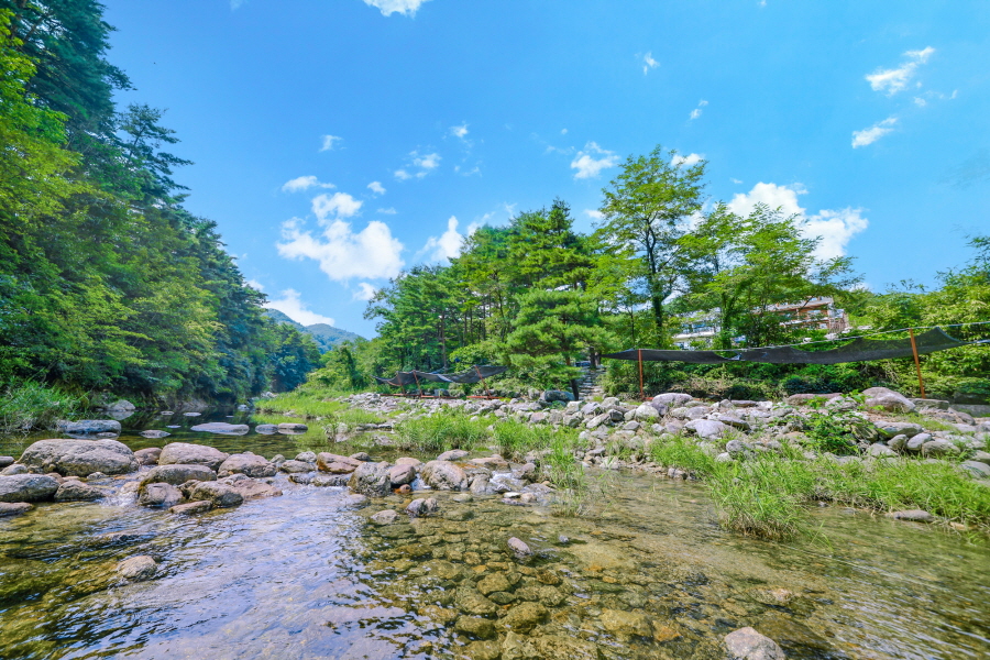 민트초코캠핑장 10