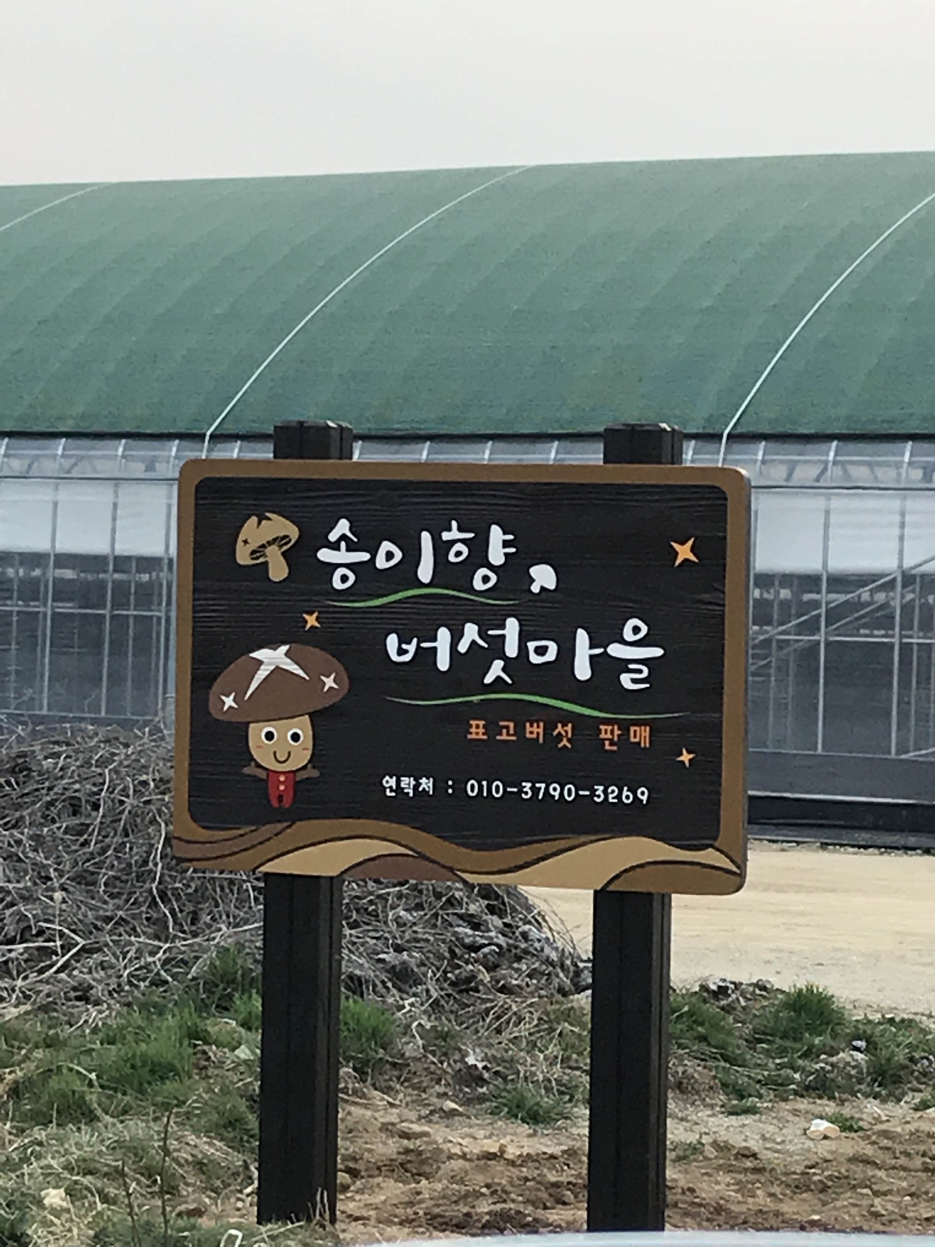 송이향버섯마을