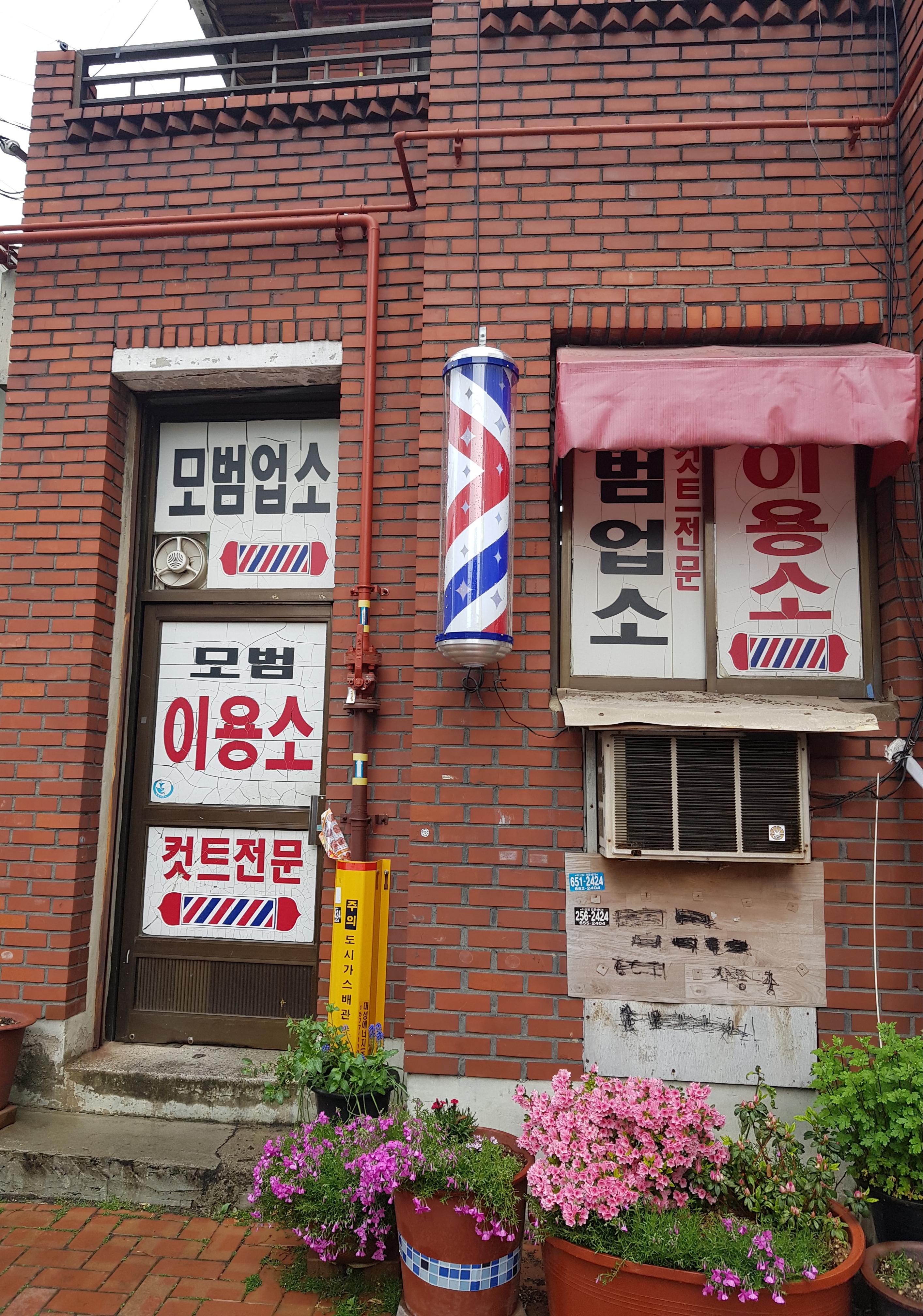 모범 이용소