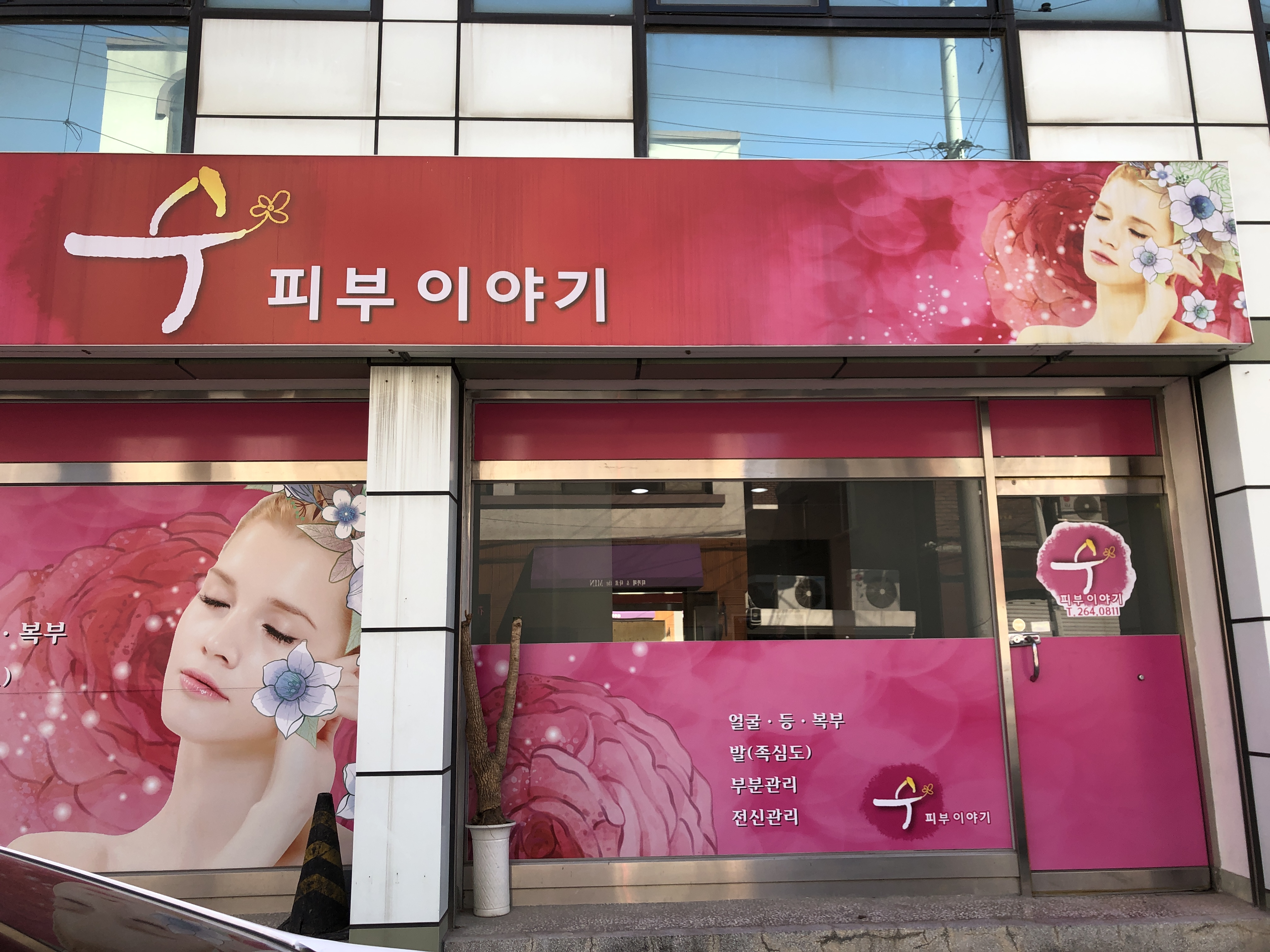 수 피부이야기