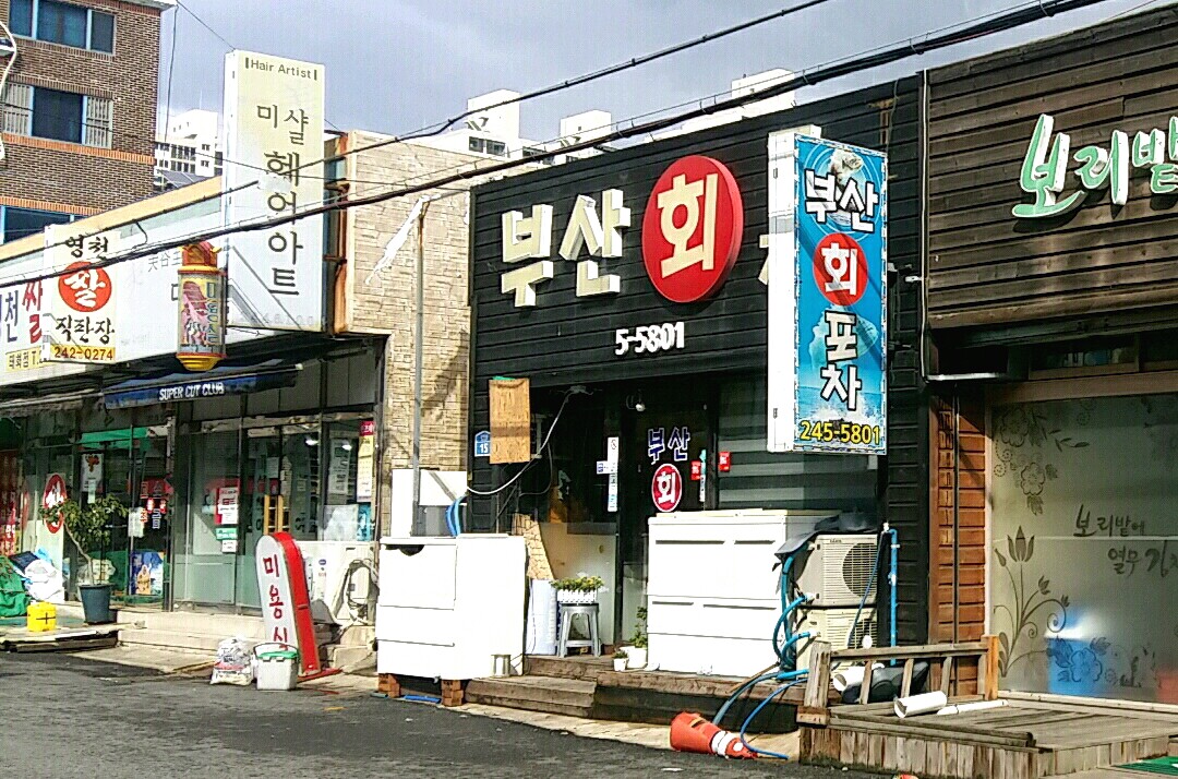 부산회포차