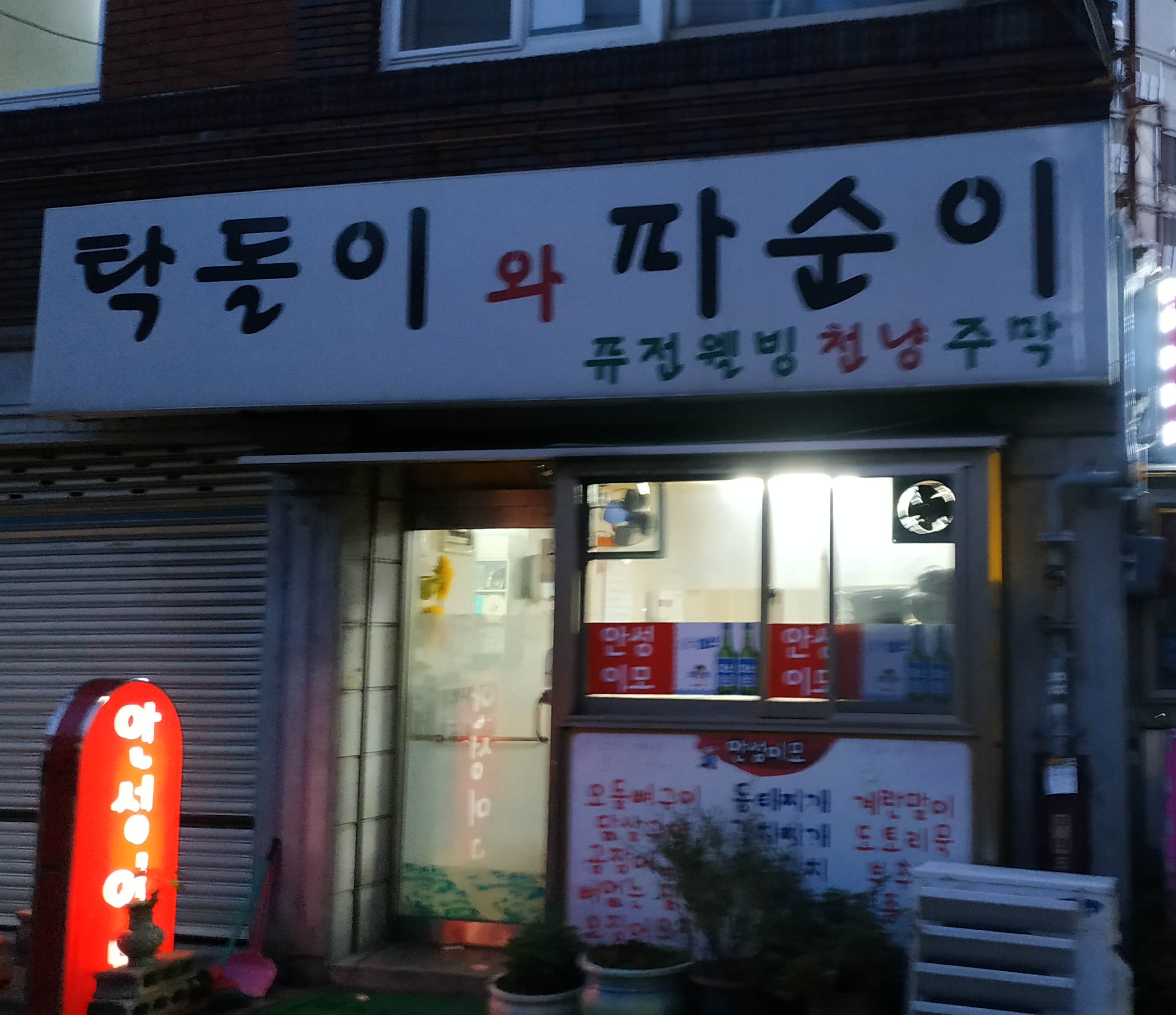 탁돌이와파순이
