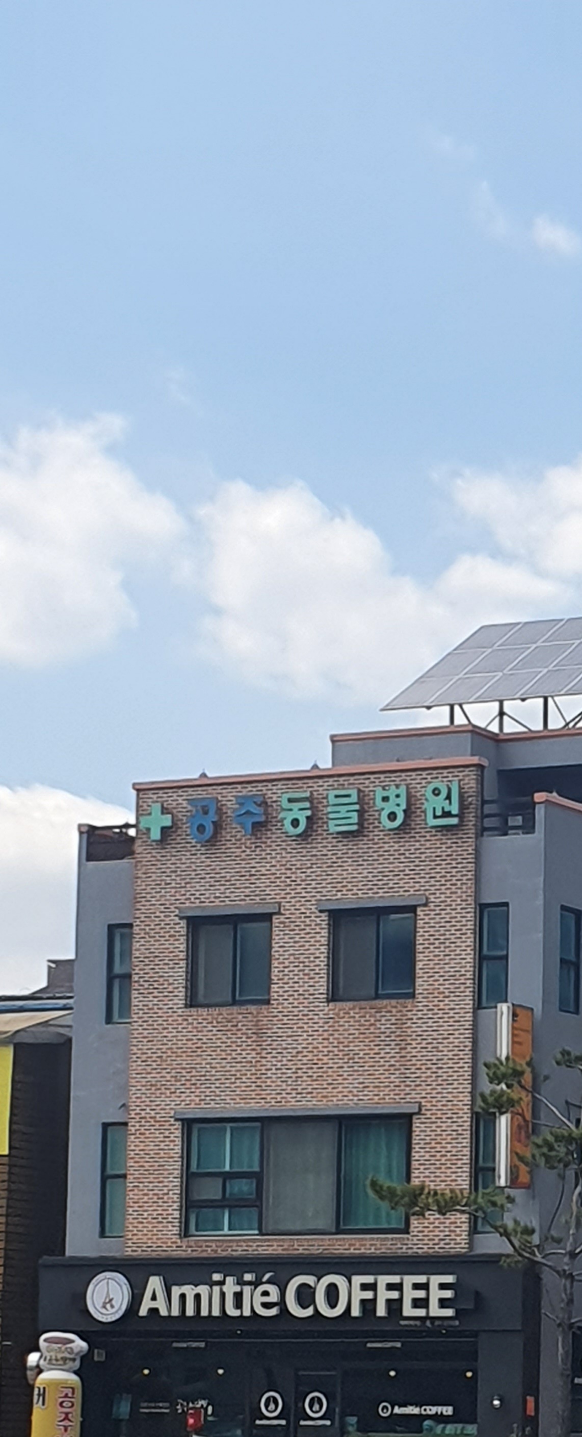 공주동물병원