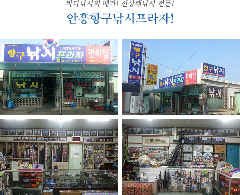 안흥항구낚시