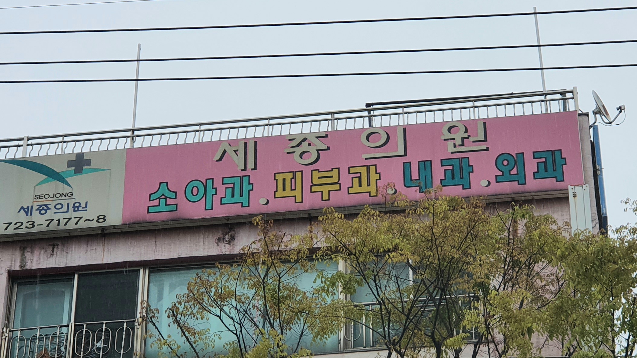 세종의원