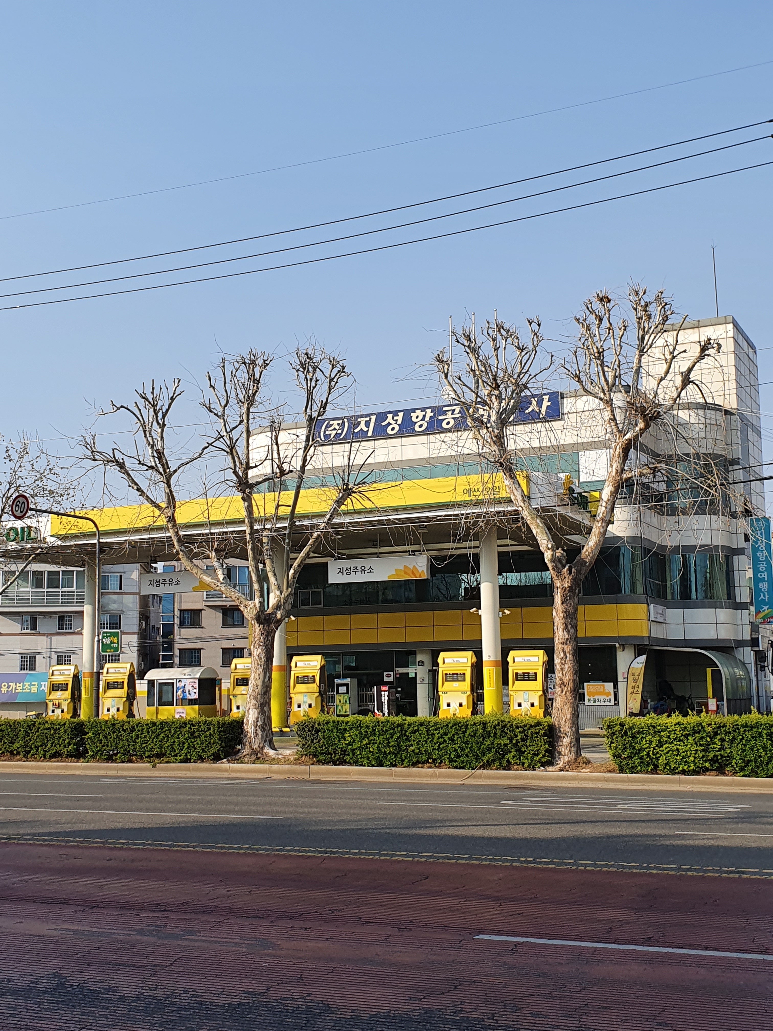 지성항공여행사