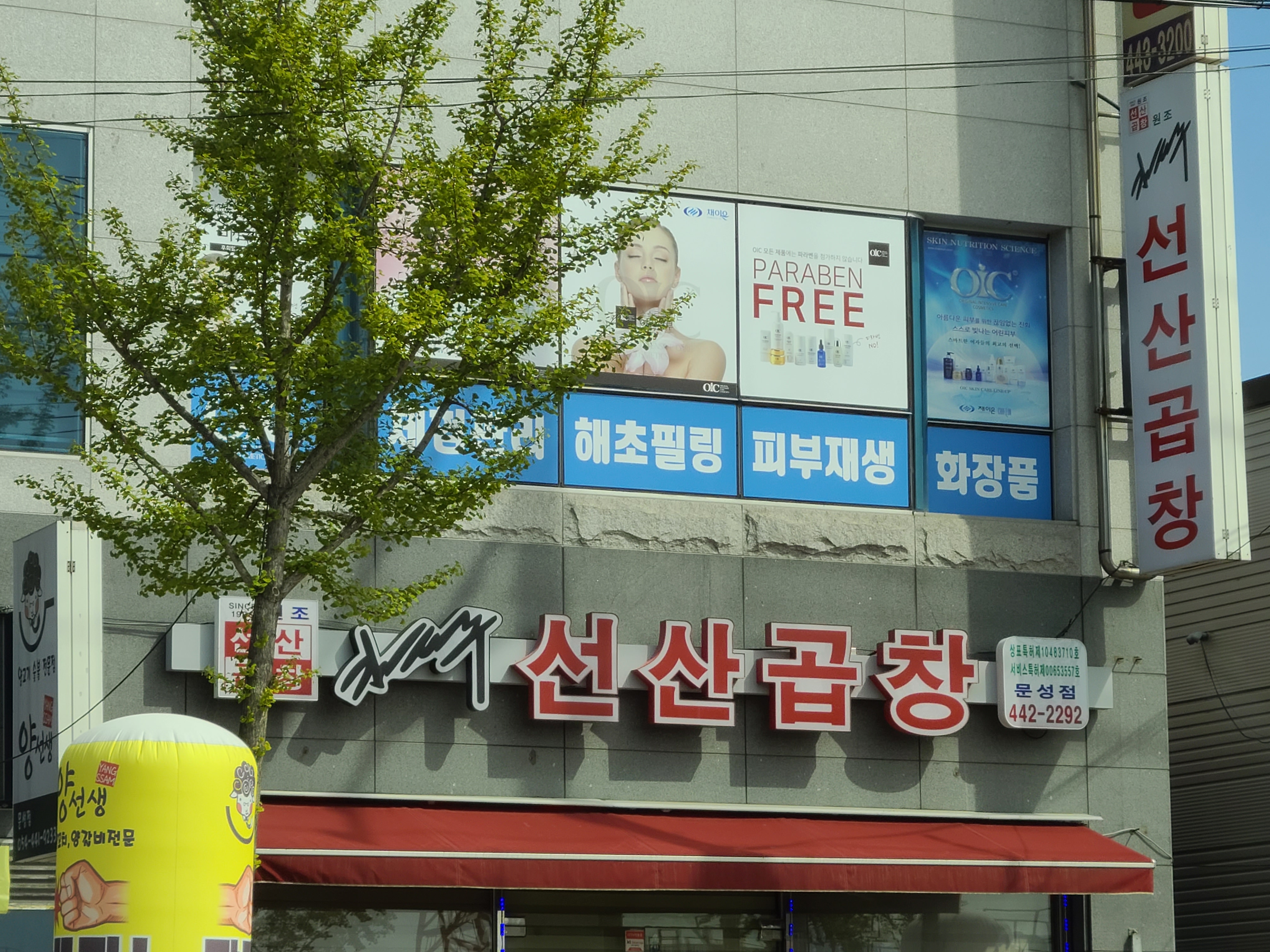 김태주선산곱창 문성점