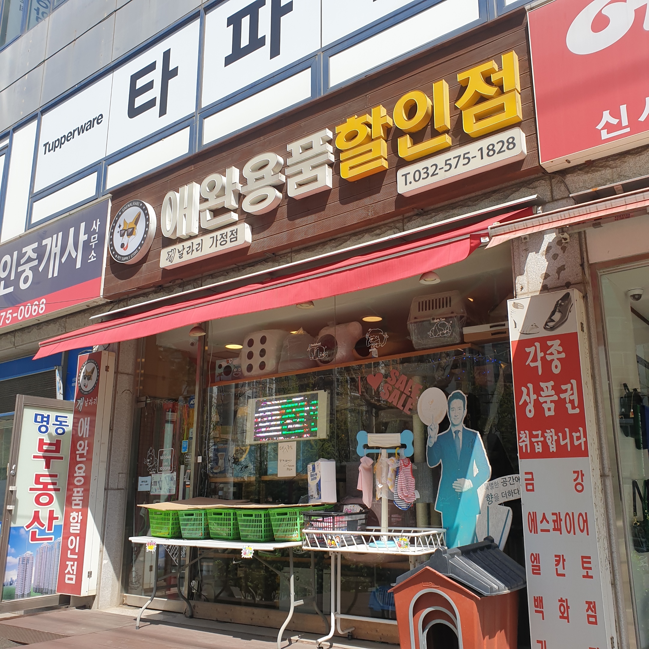 이미지