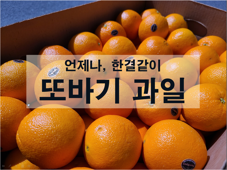 또바기