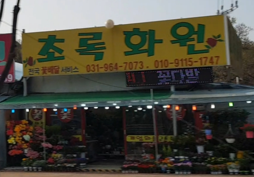 초록화원