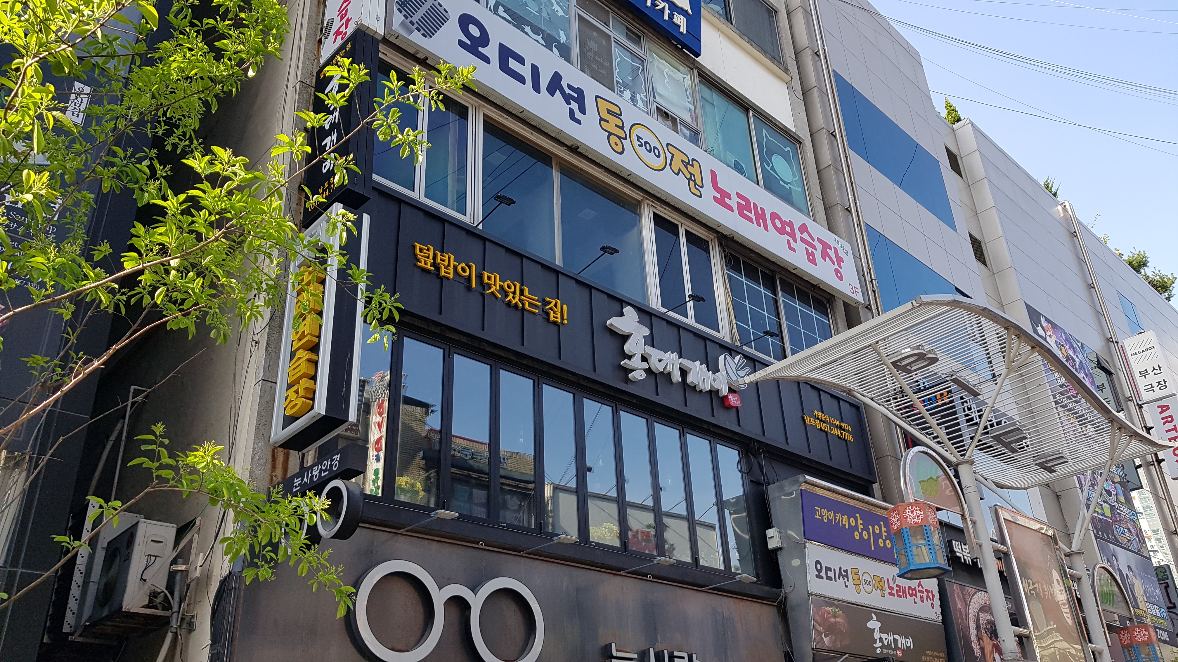 오디션동전노래연습장