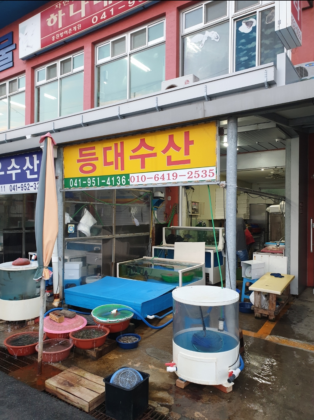등대수산