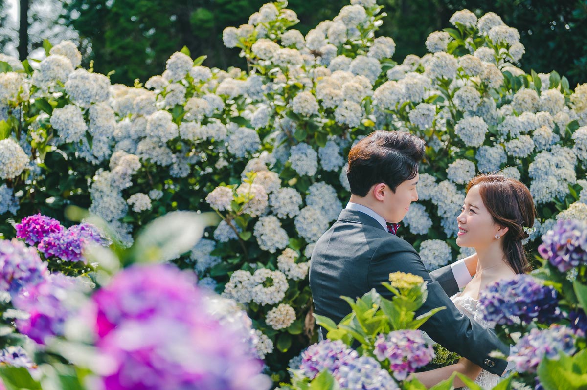 더라온스냅 대표 이미지