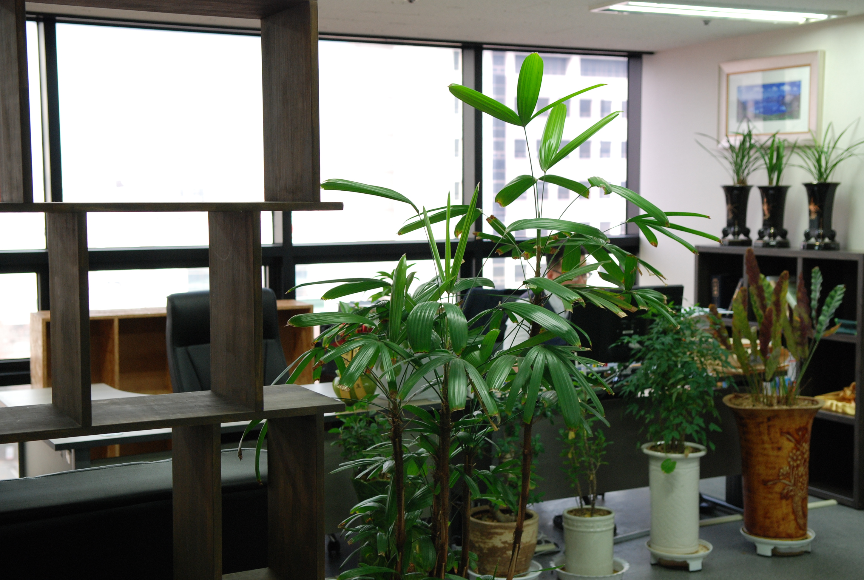 법무법인 저스티스 도현택 변호사 세종분사무소 대표 이미지