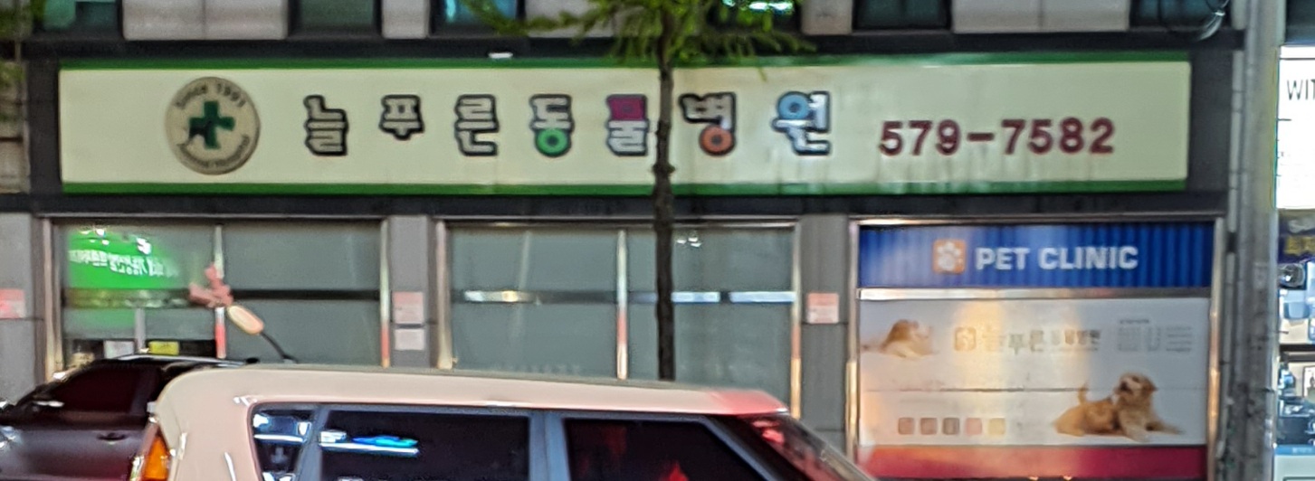 늘푸른동물병원 대표 이미지 - 깔끔한 병원 내부