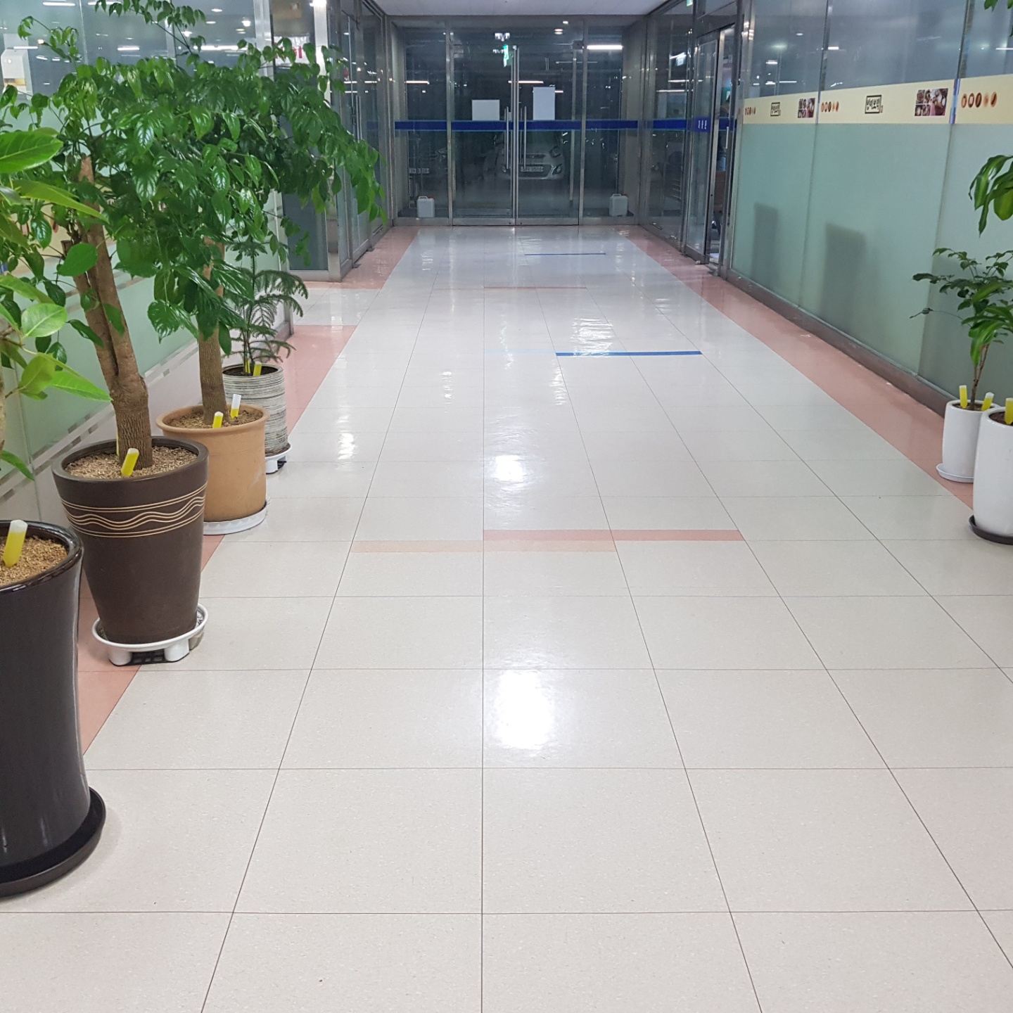 밥이보약