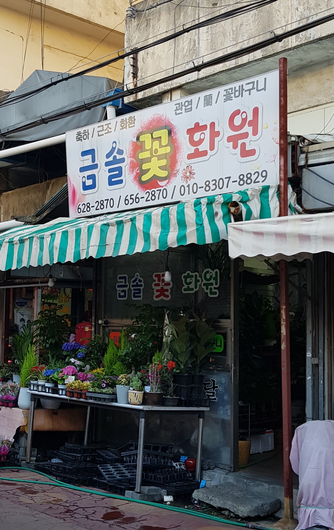 금솔꽃화원