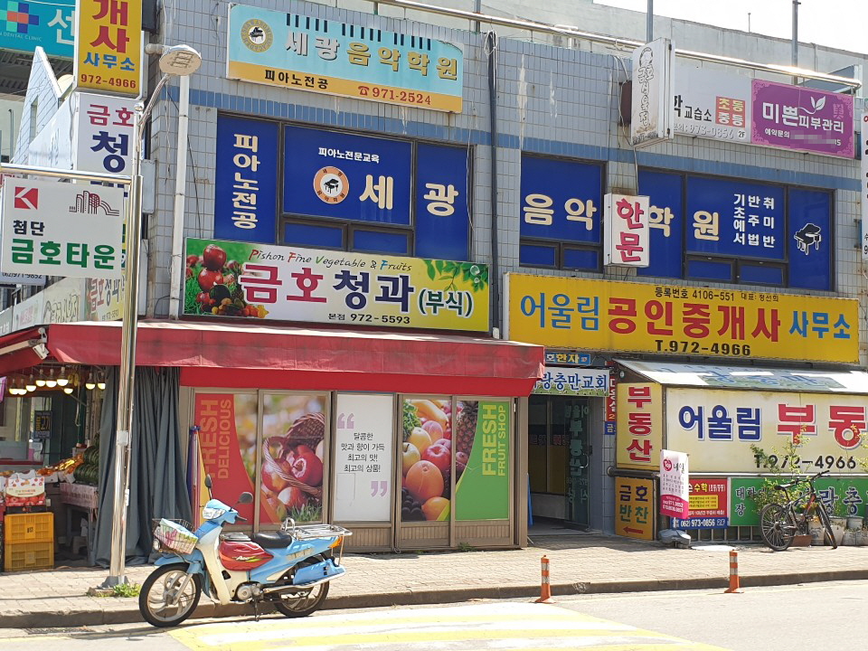 금호청과