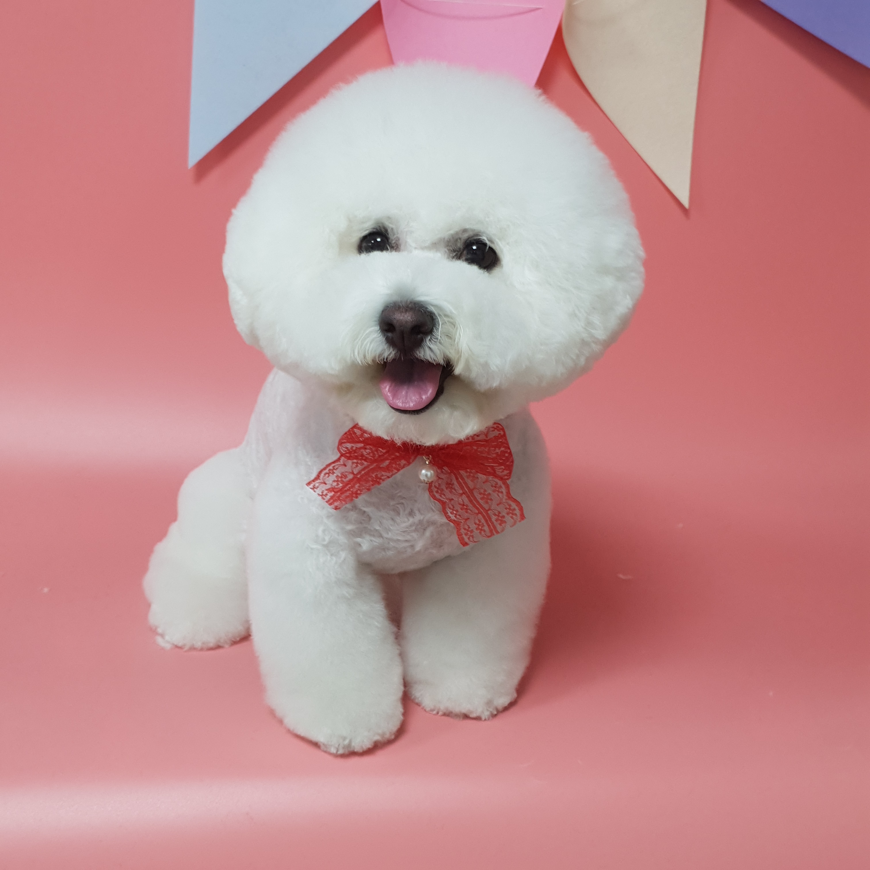 쌍문동 고놈들 대표 이미지