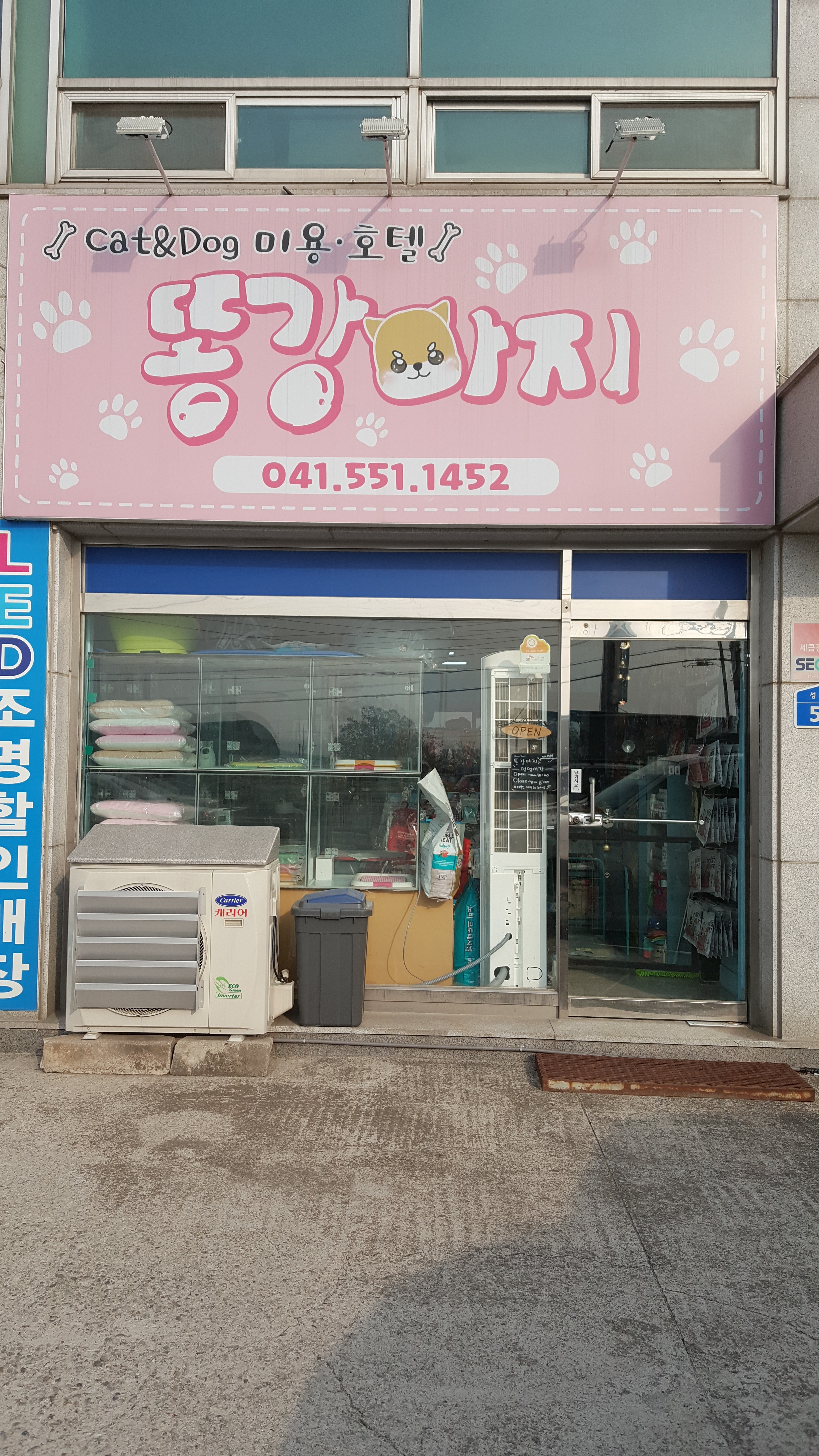 똥강아지 대표 이미지