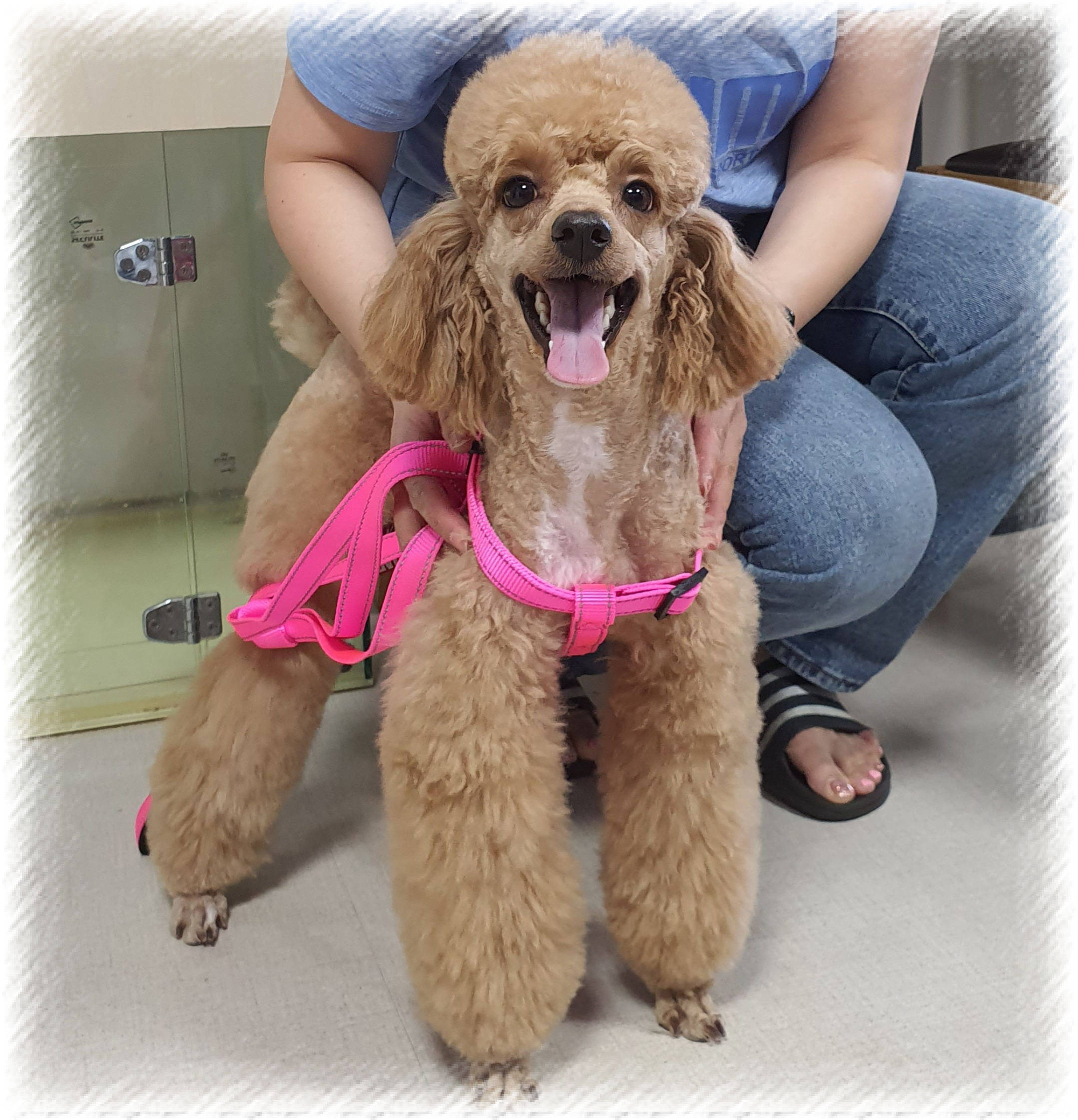 쌍문동 고놈들 대표 이미지