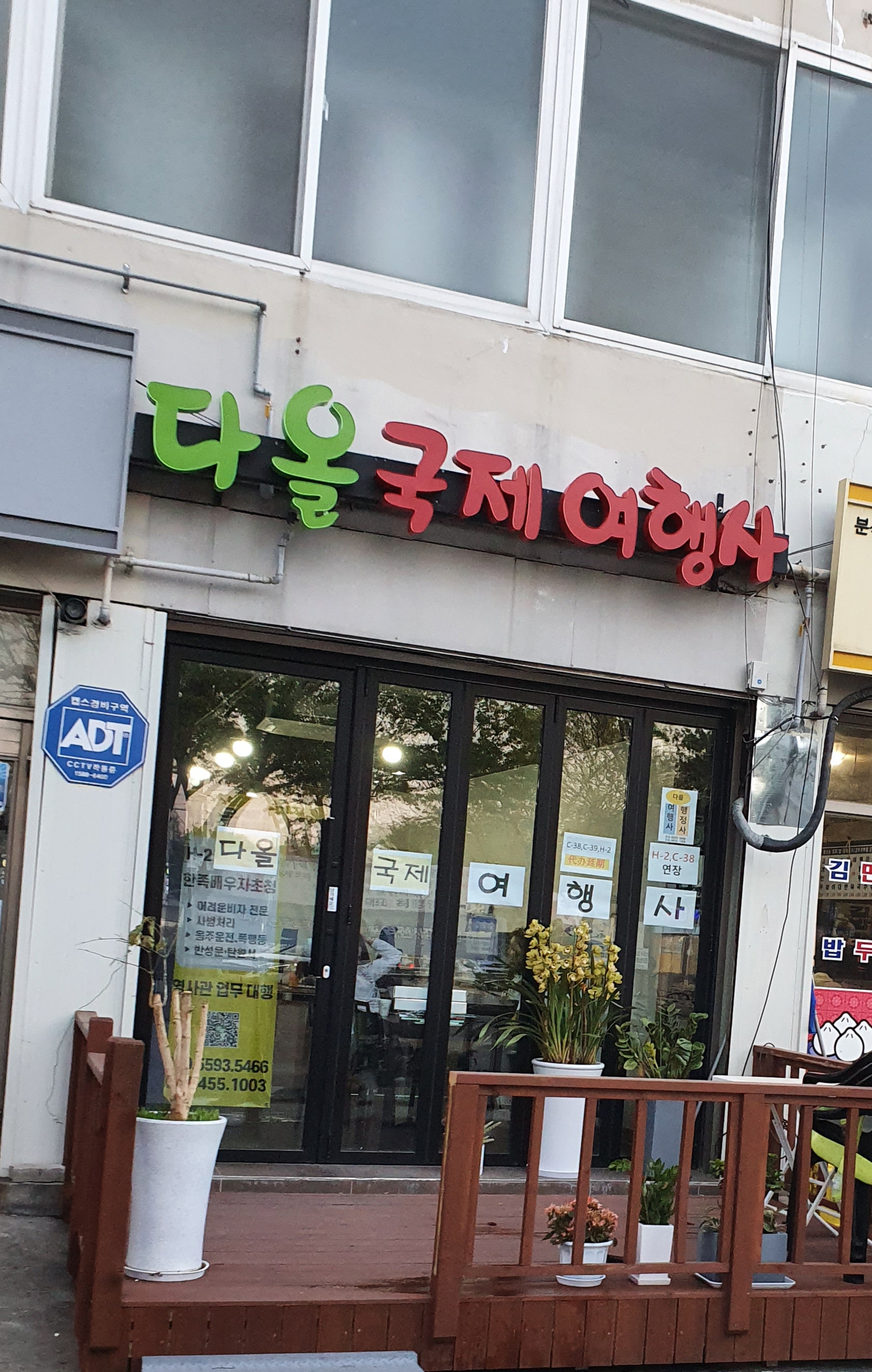 다올국제여행사