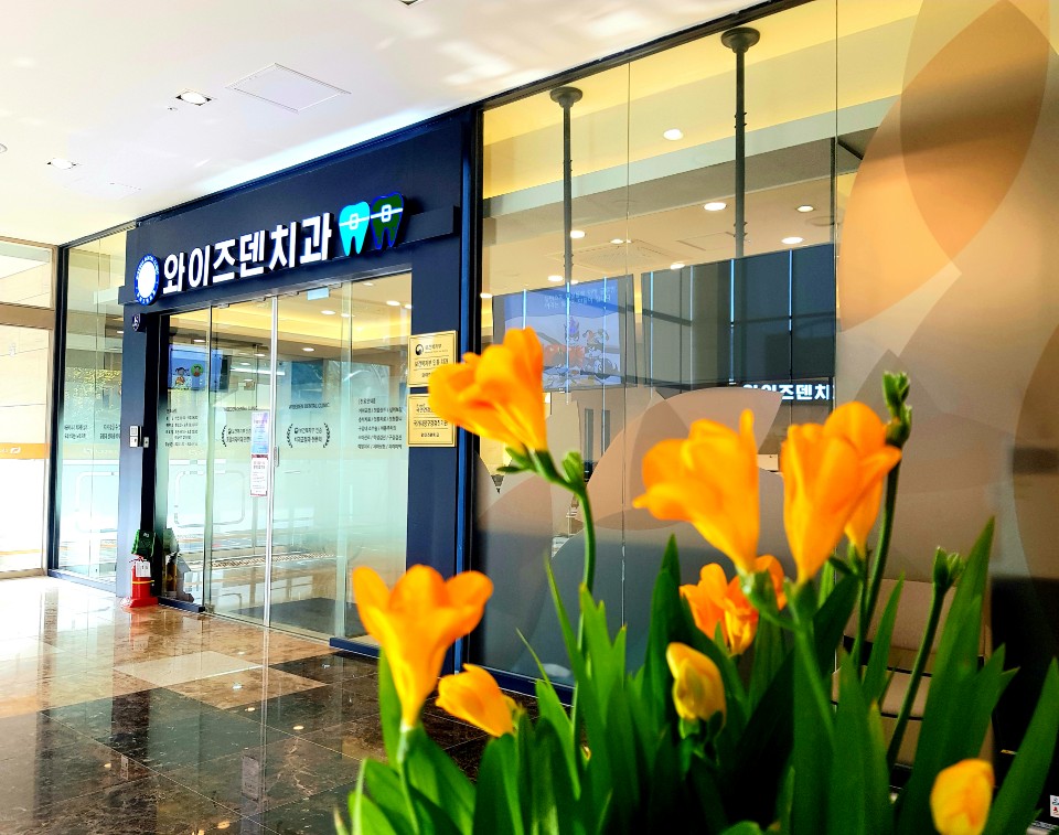 와이즈덴치과의원