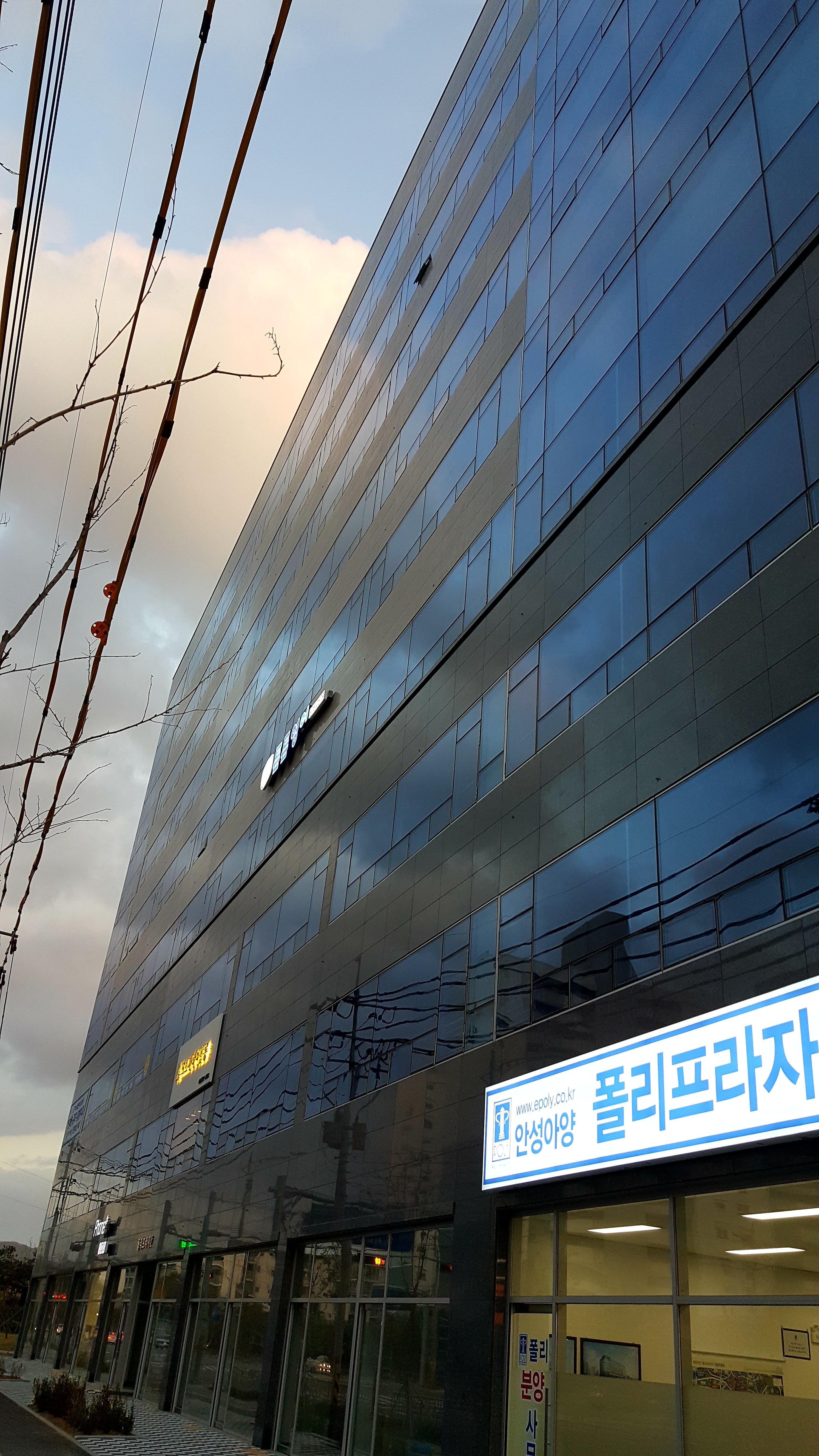 튼튼영어 안성지사