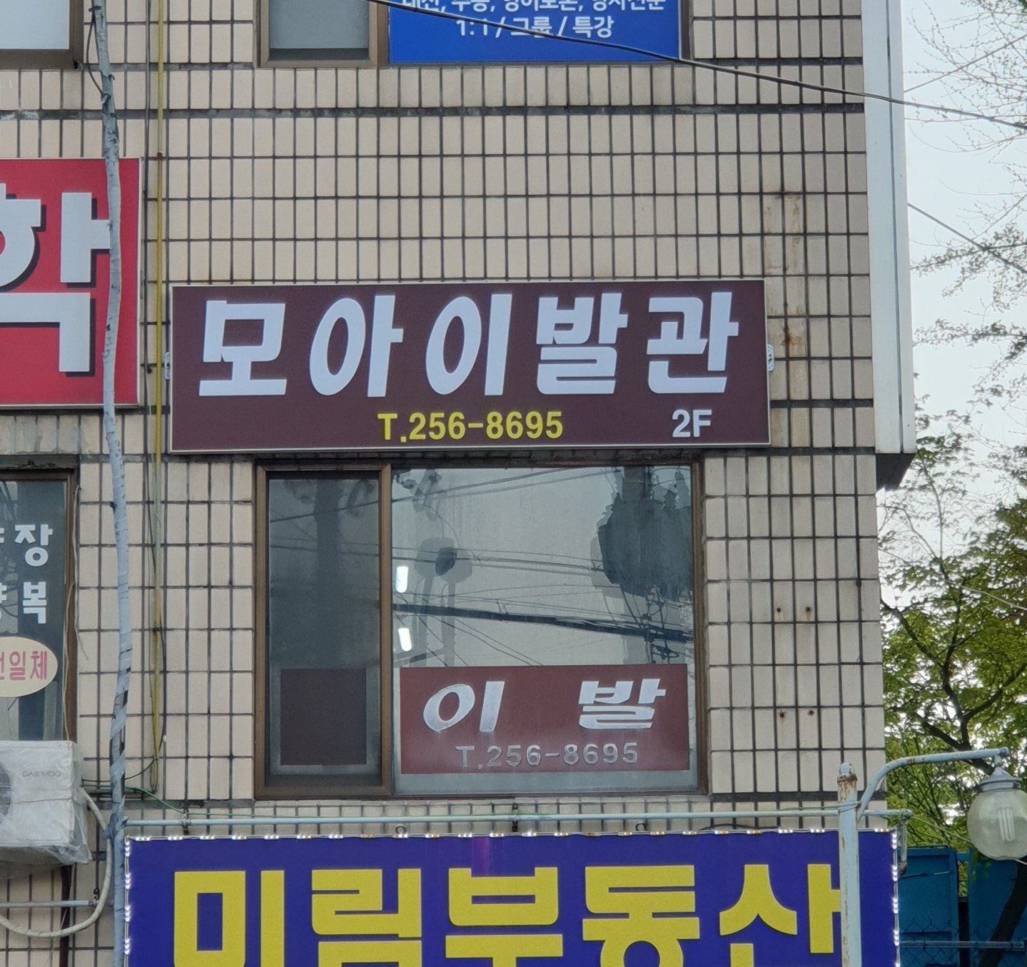 모아이발관