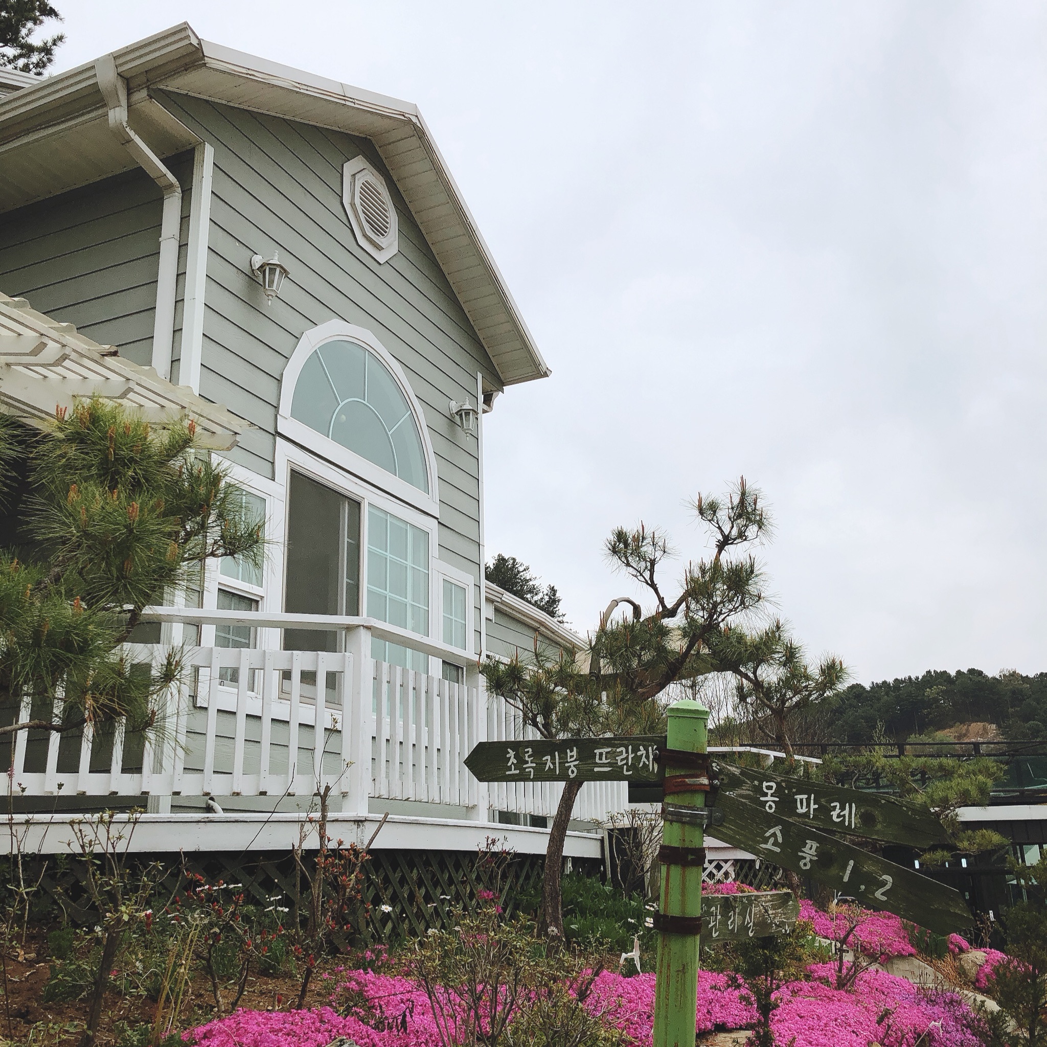스위트몽 애견펜션