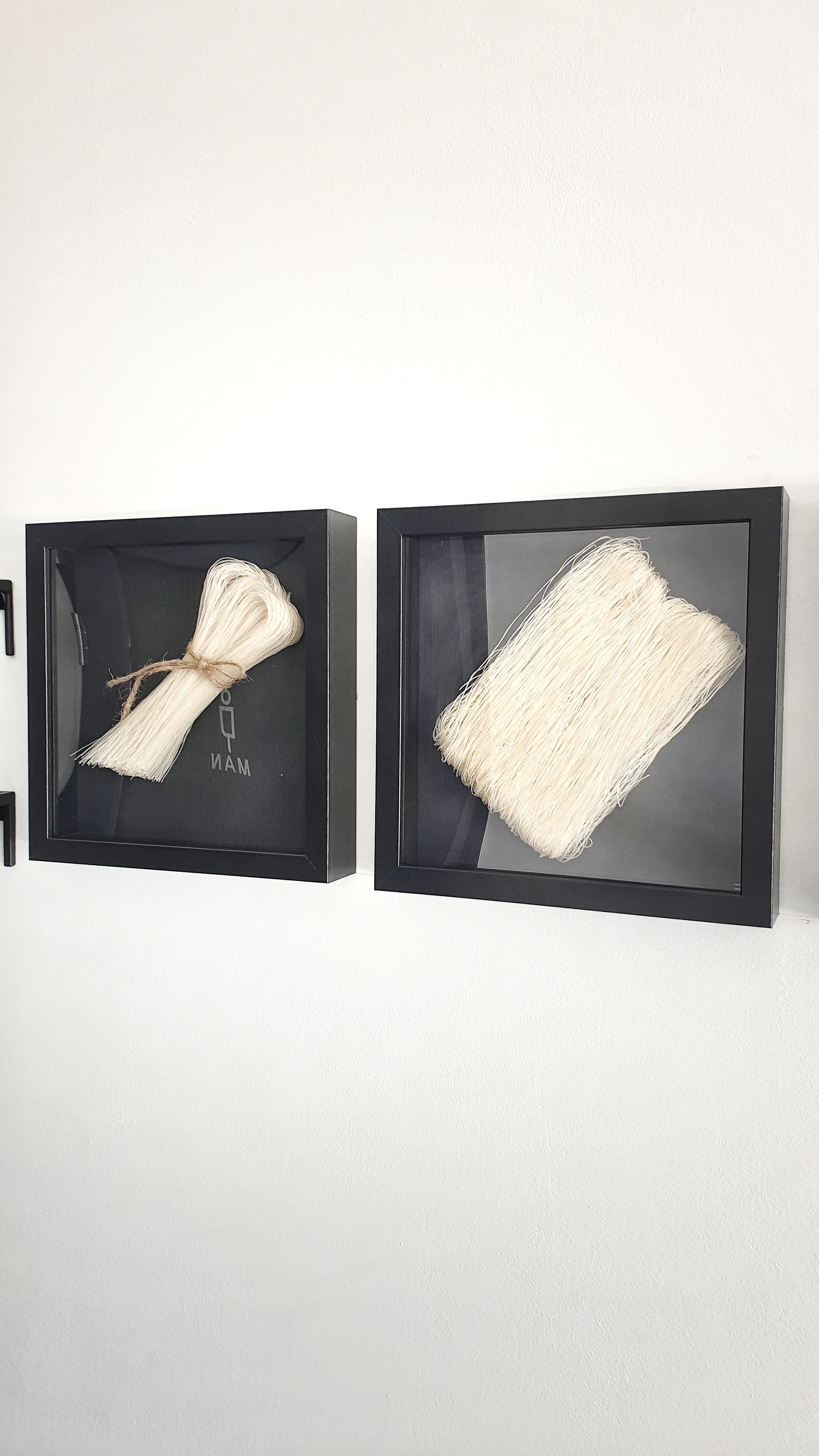 분보남보 대표 이미지