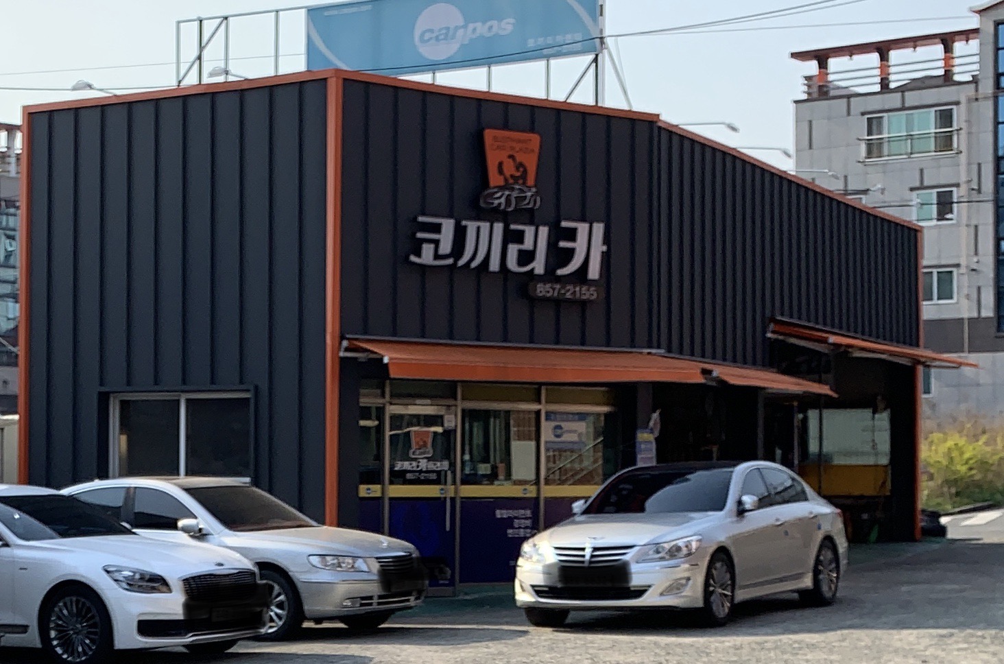 카포스 코끼리카프라자