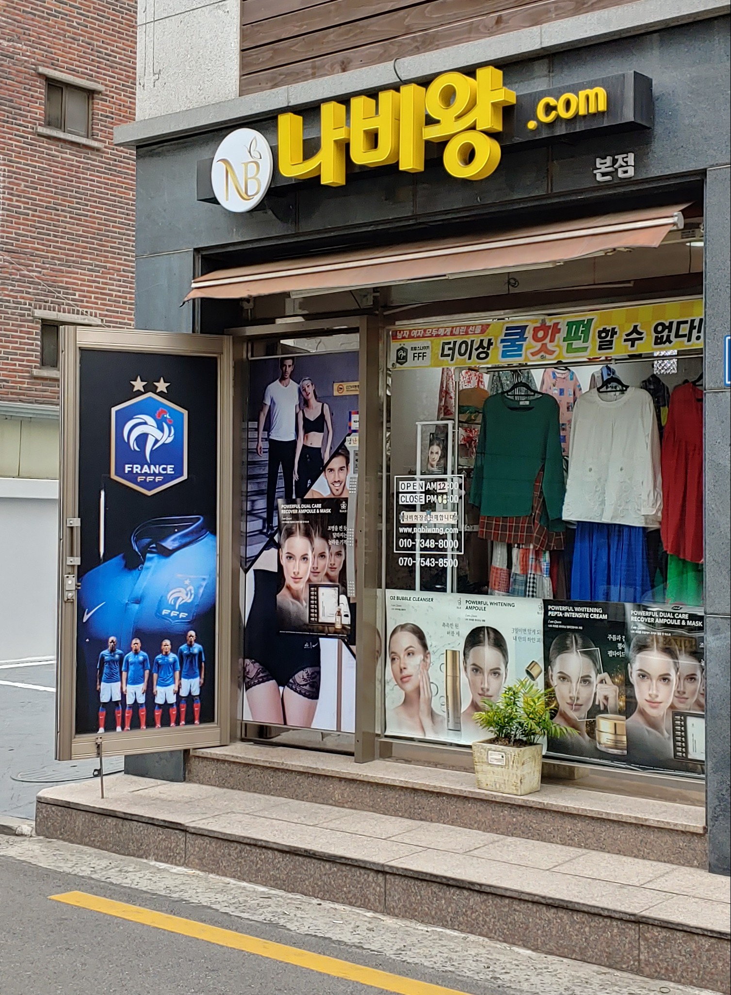 나비왕