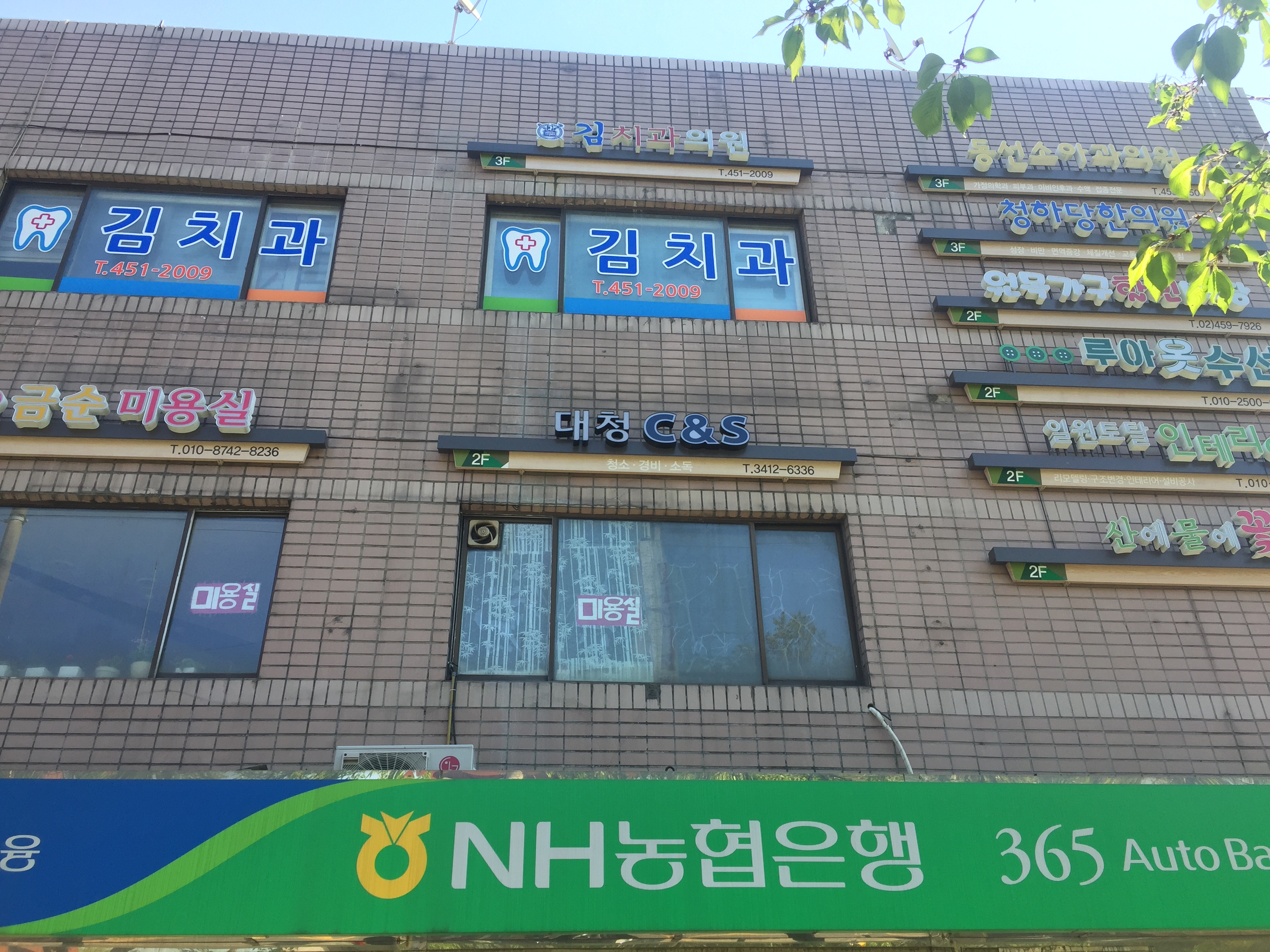 일원김치과의원 대표 이미지