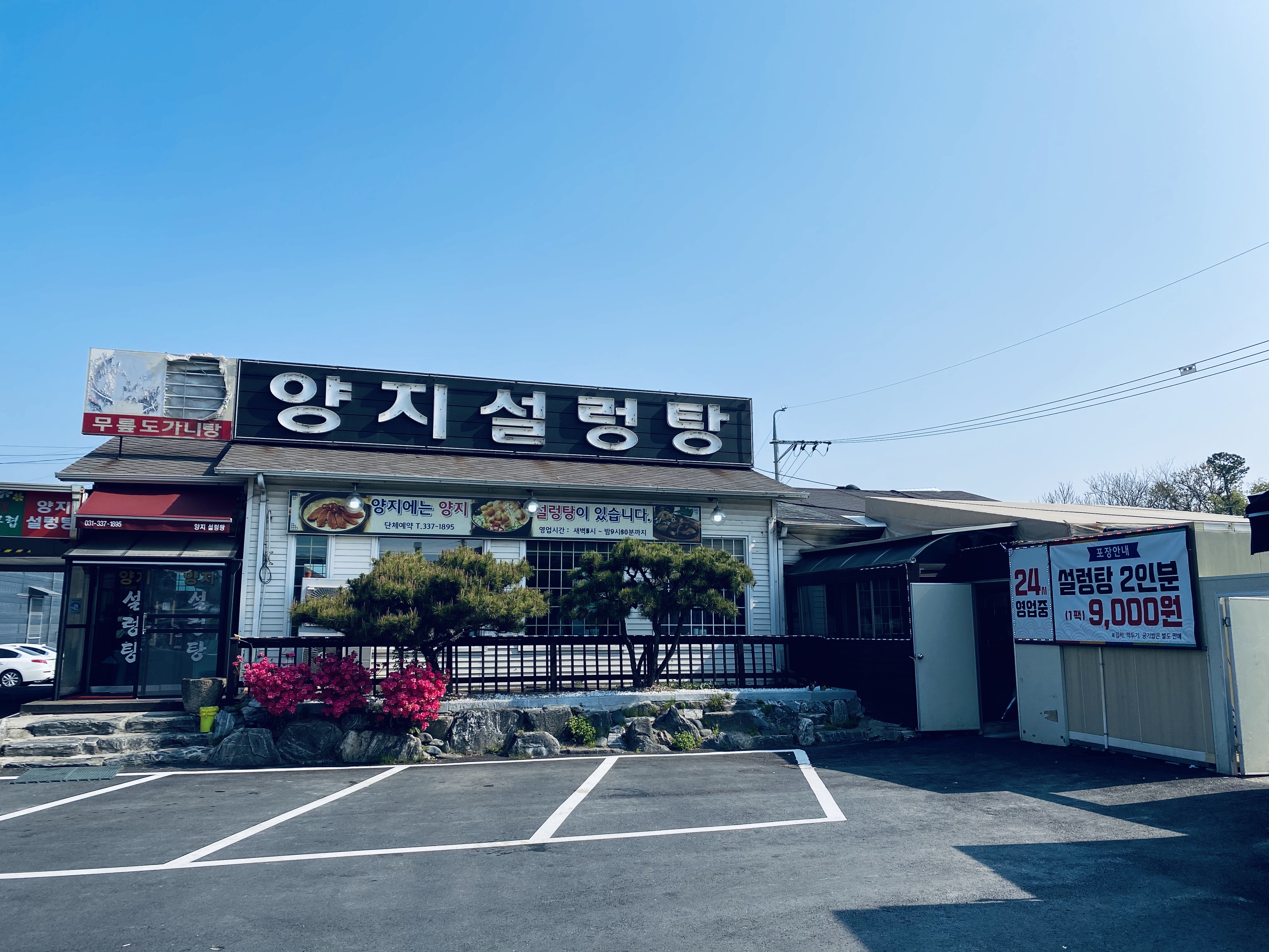 양지설렁탕