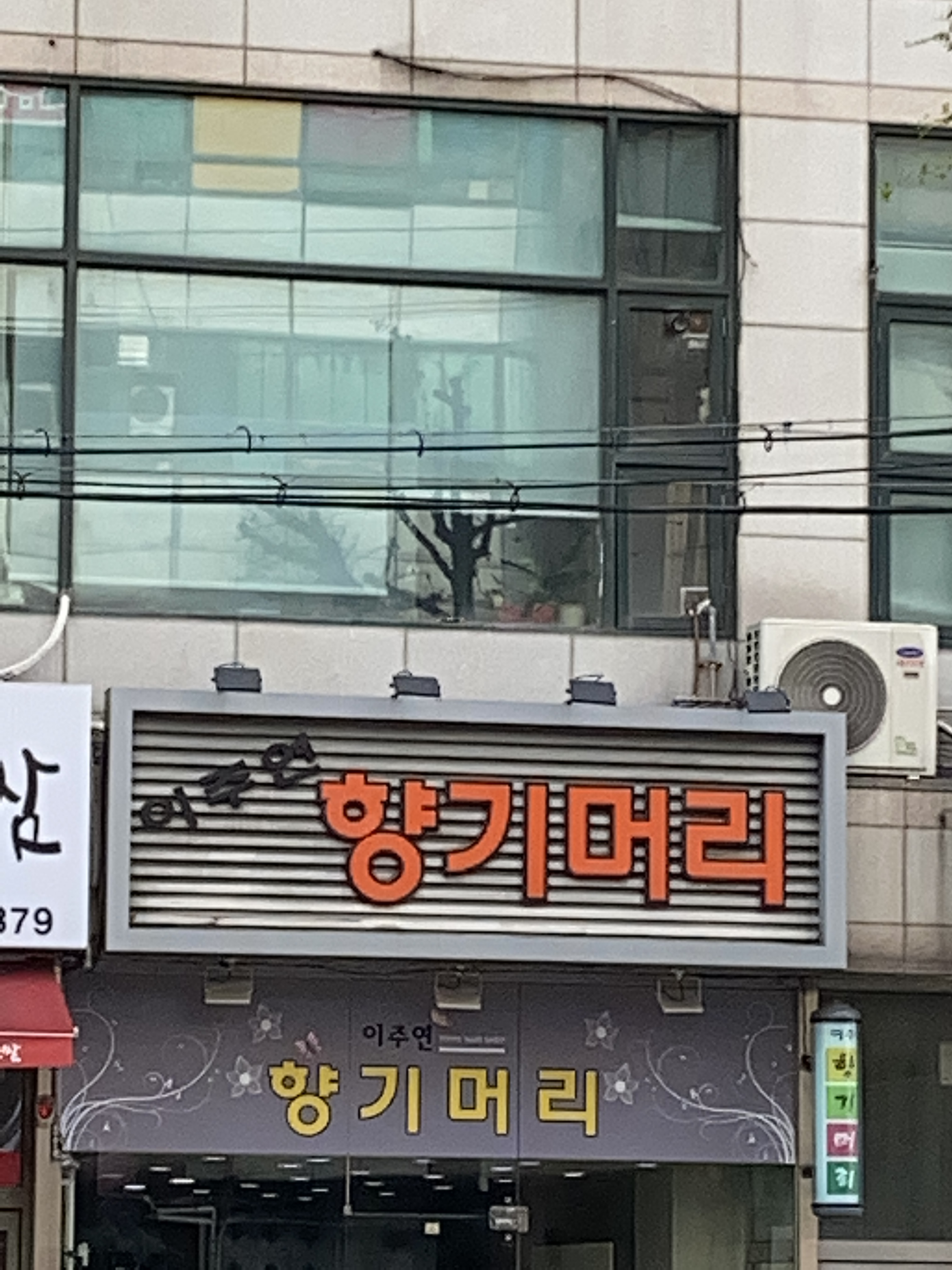 이주연향기머리