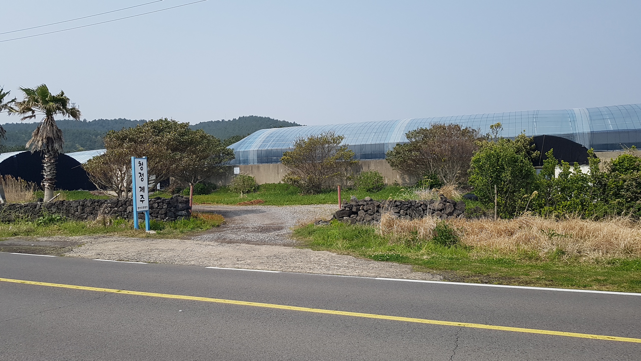 영어조합법인청정제주