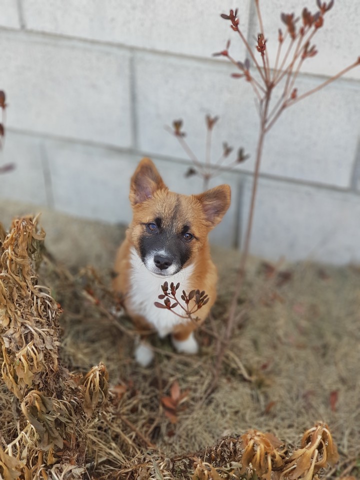 이미지