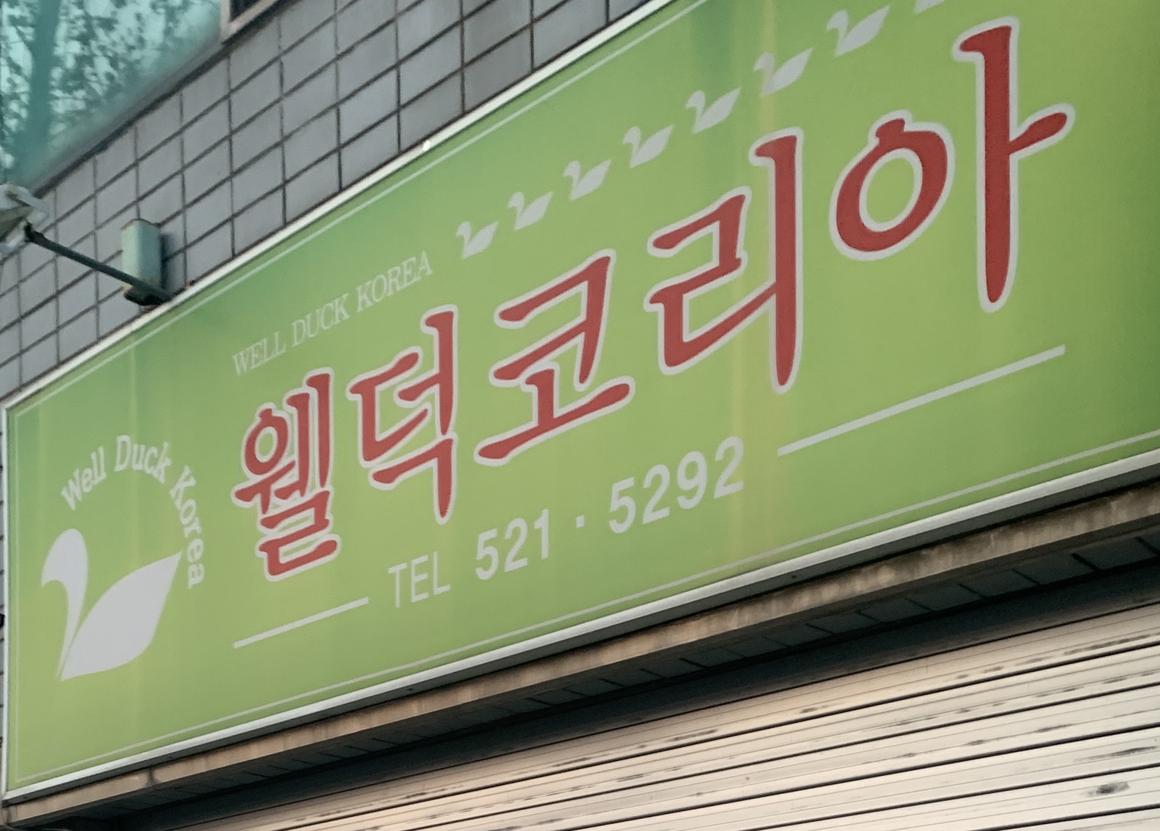 웰덕코리아